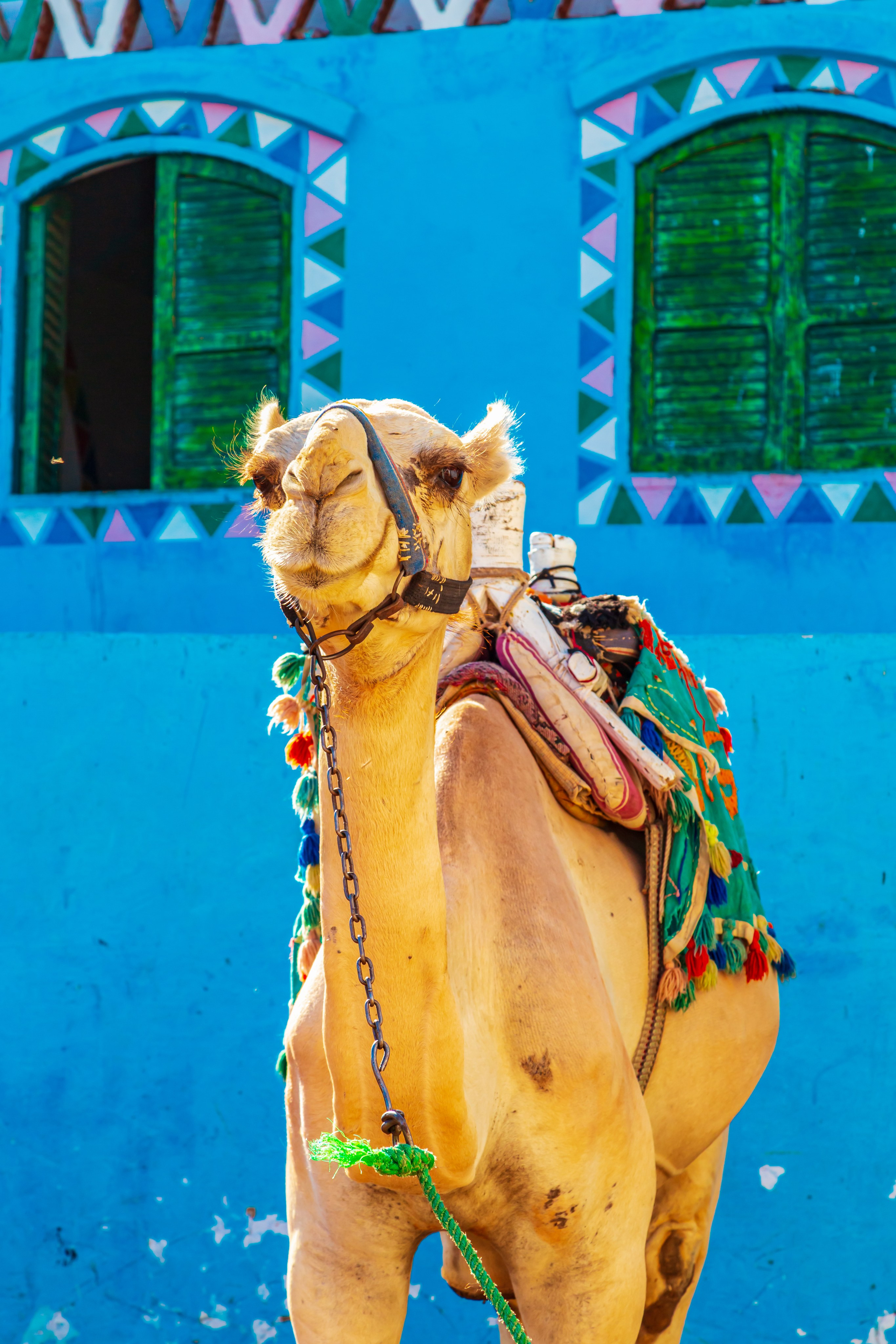 Египет. Тревел-фотограф Елизавета Ларионова