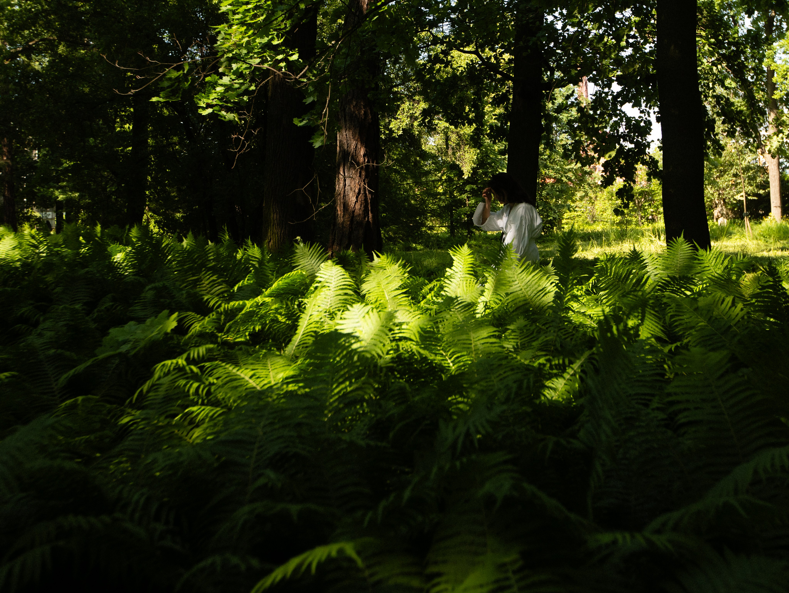 Свадьба Анна и Борис 2025. Фотограф Мария Немм