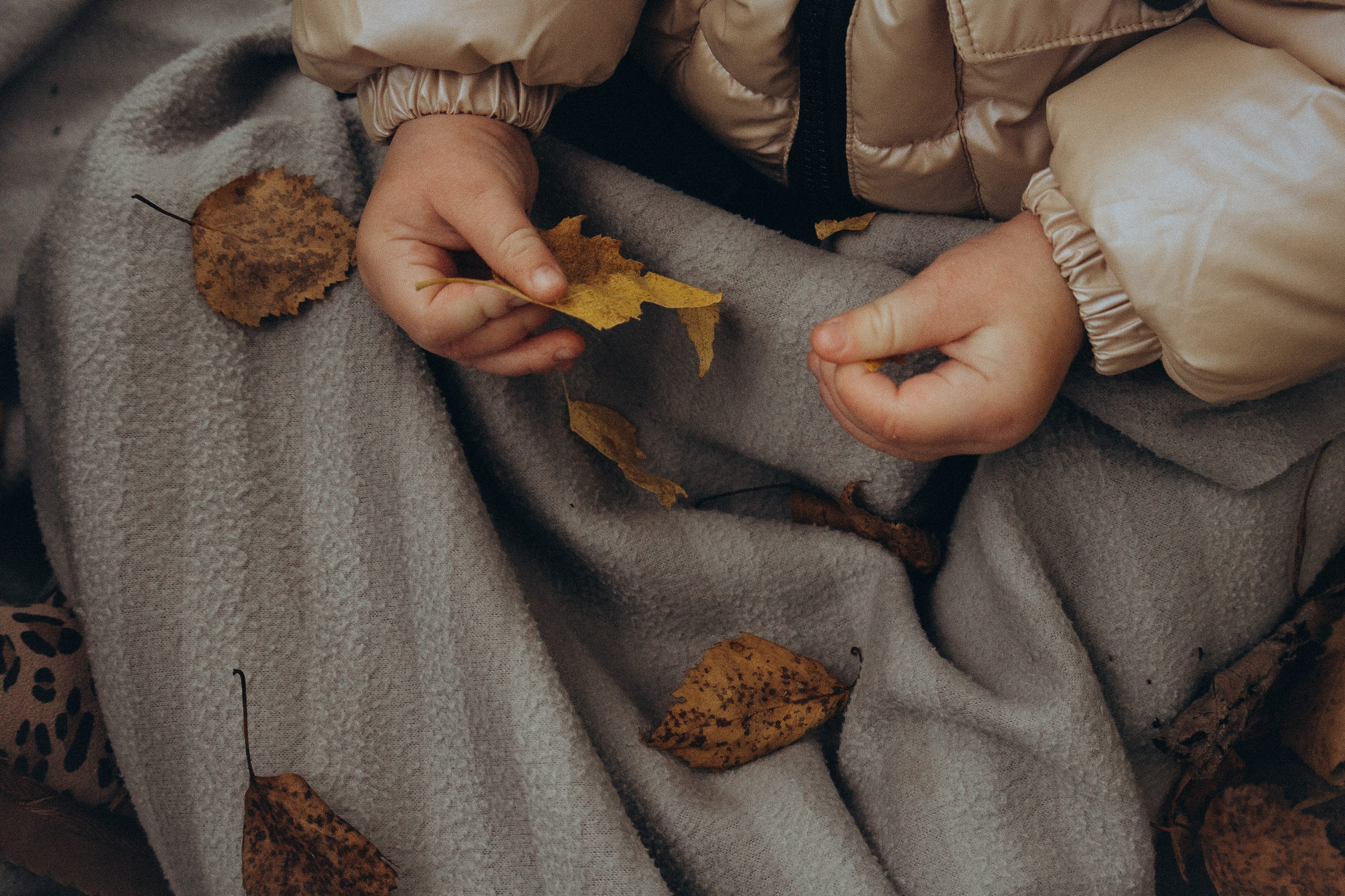 Осенний пикник. Фотограф Москва Алёна Суворова