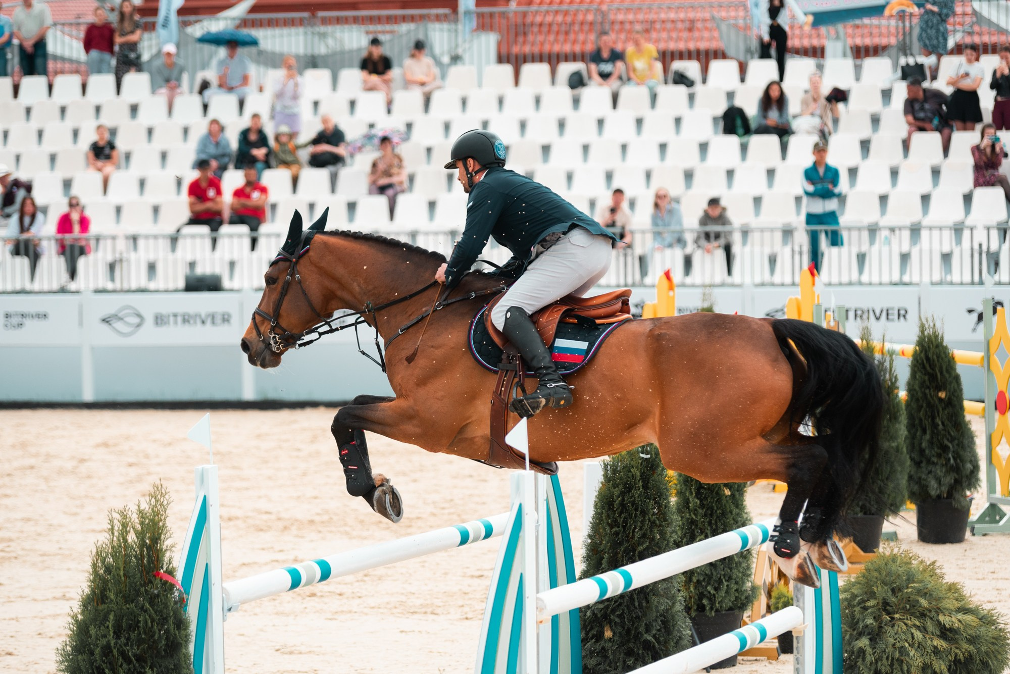 BITRIVER CUP 2023. Конный фотограф Куракина Дарья • Фотосессии с лошадьми