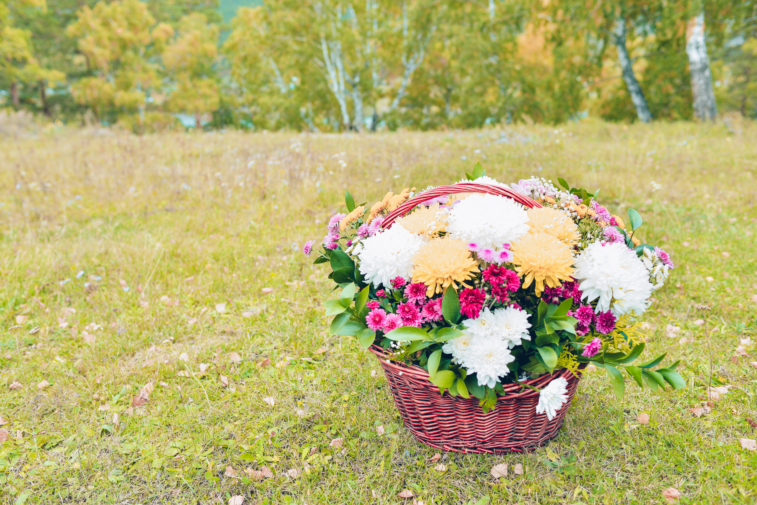 Андрей и Василина. Свадебный и семейный фотограф в Барнауле Сергей Семакин