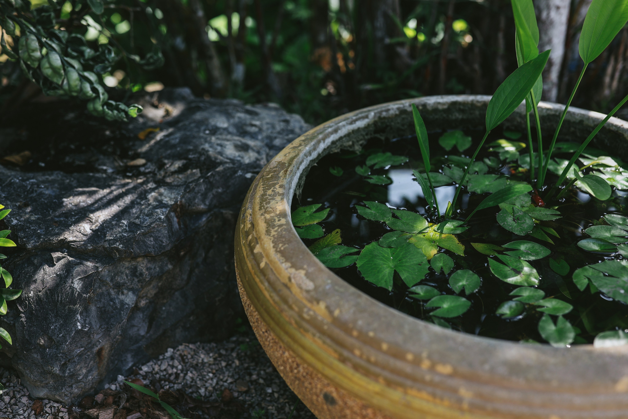 Thailand / Ban Sainai Resort. Ekaterina Buneeva Photography