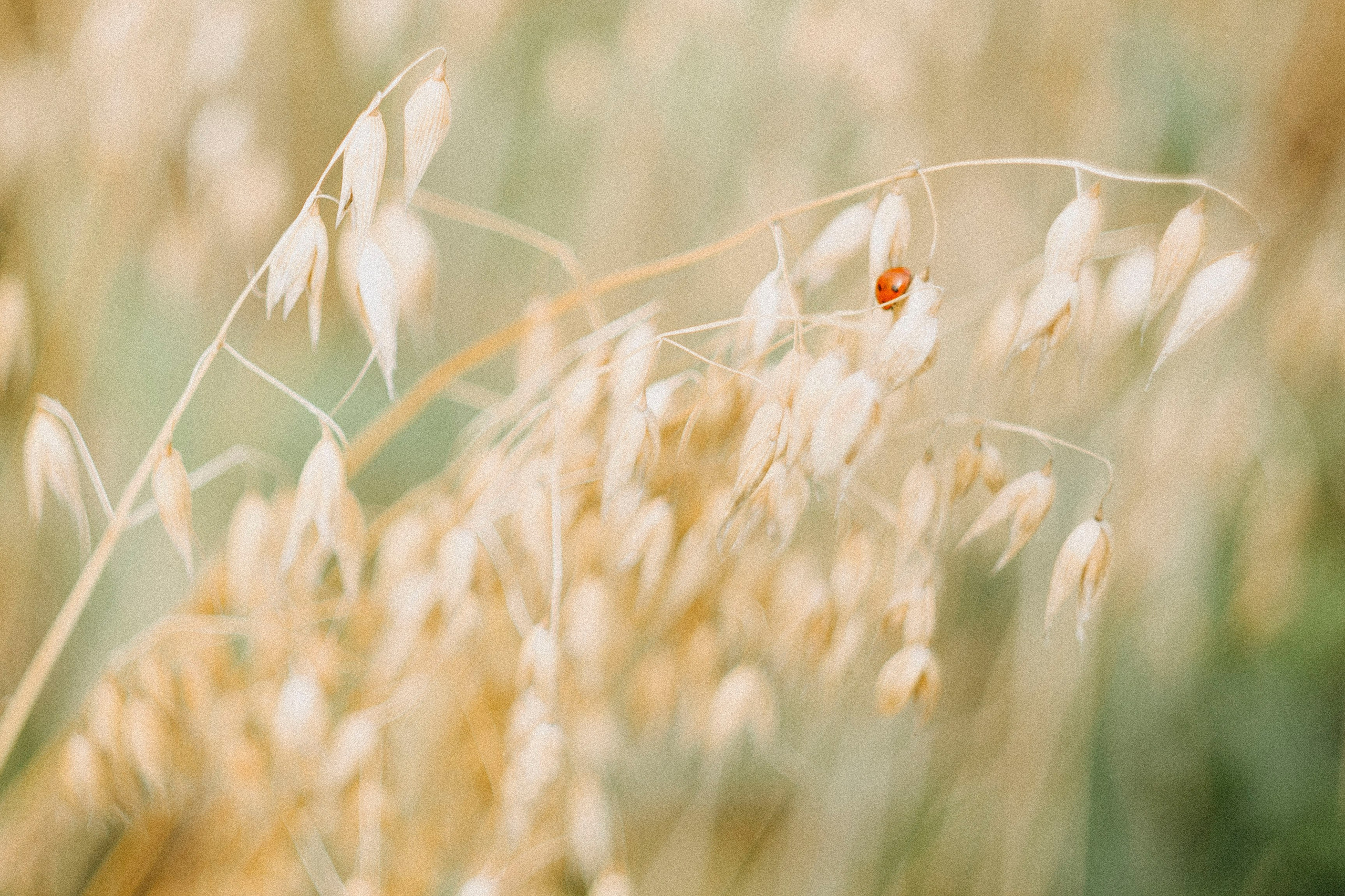 Поход. Ваш портретный фотограф в Москве Катя Прокофьева
