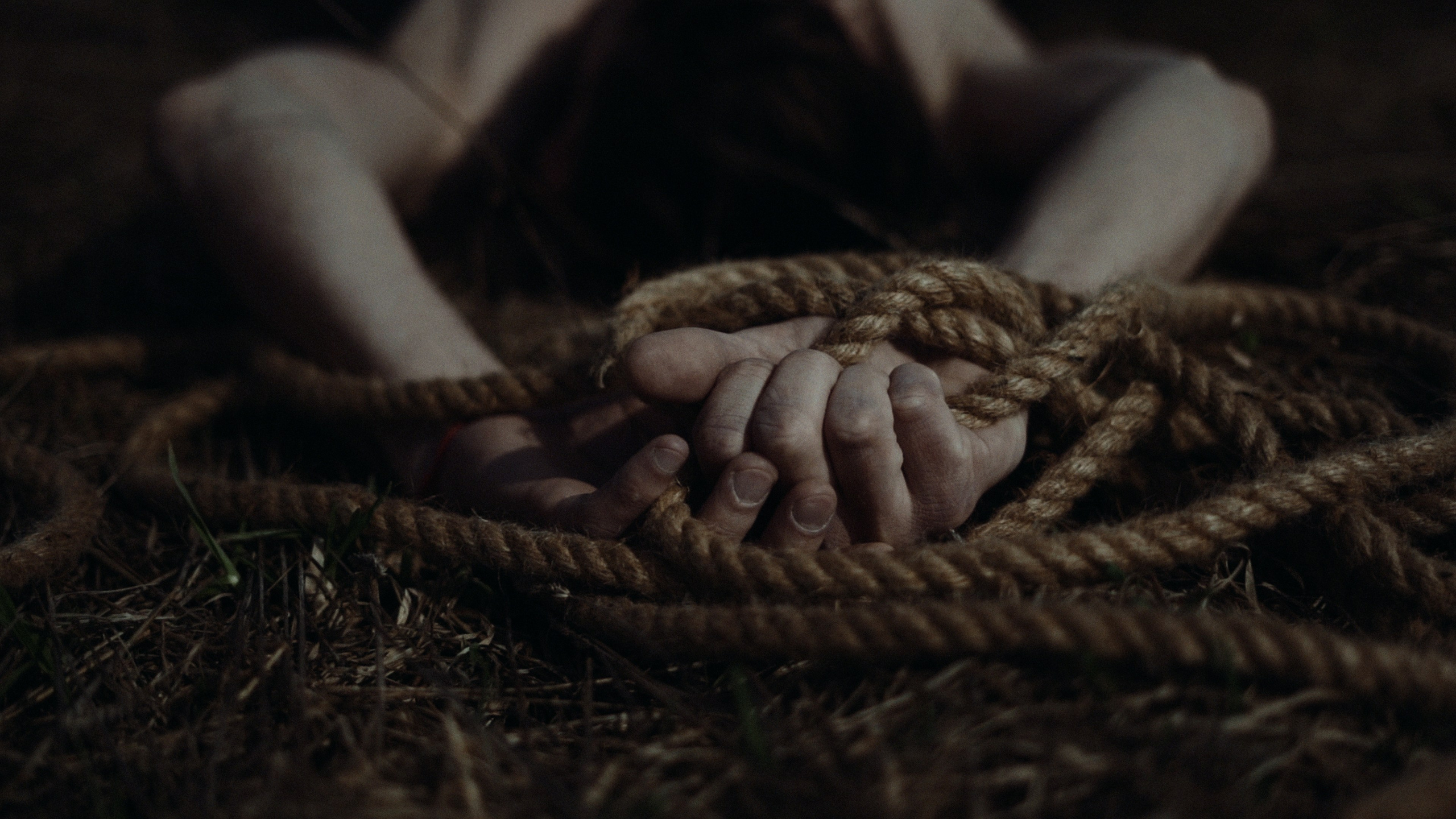 «InSide Media» videomaker Vadim Ermakov