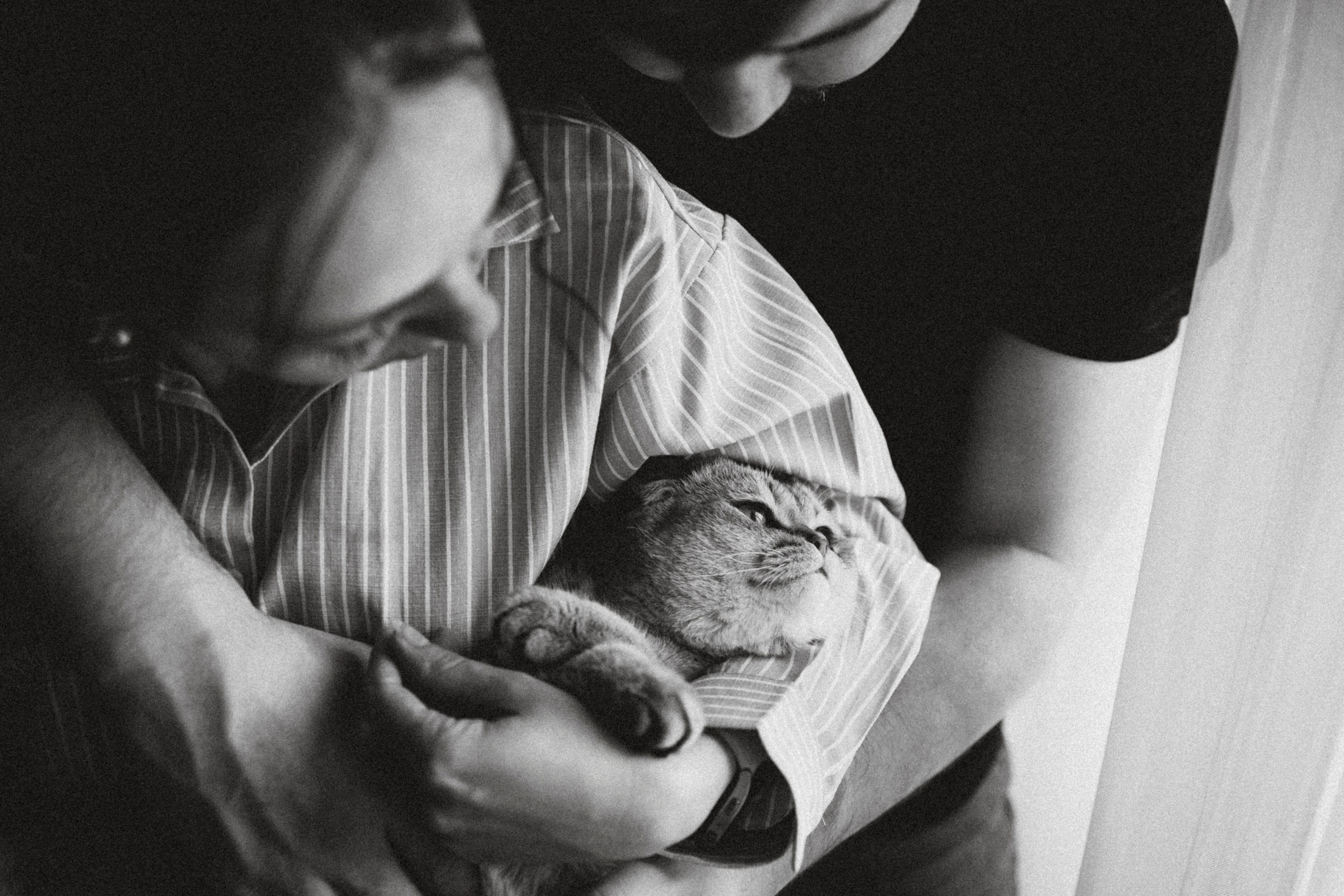 Генри и его семья