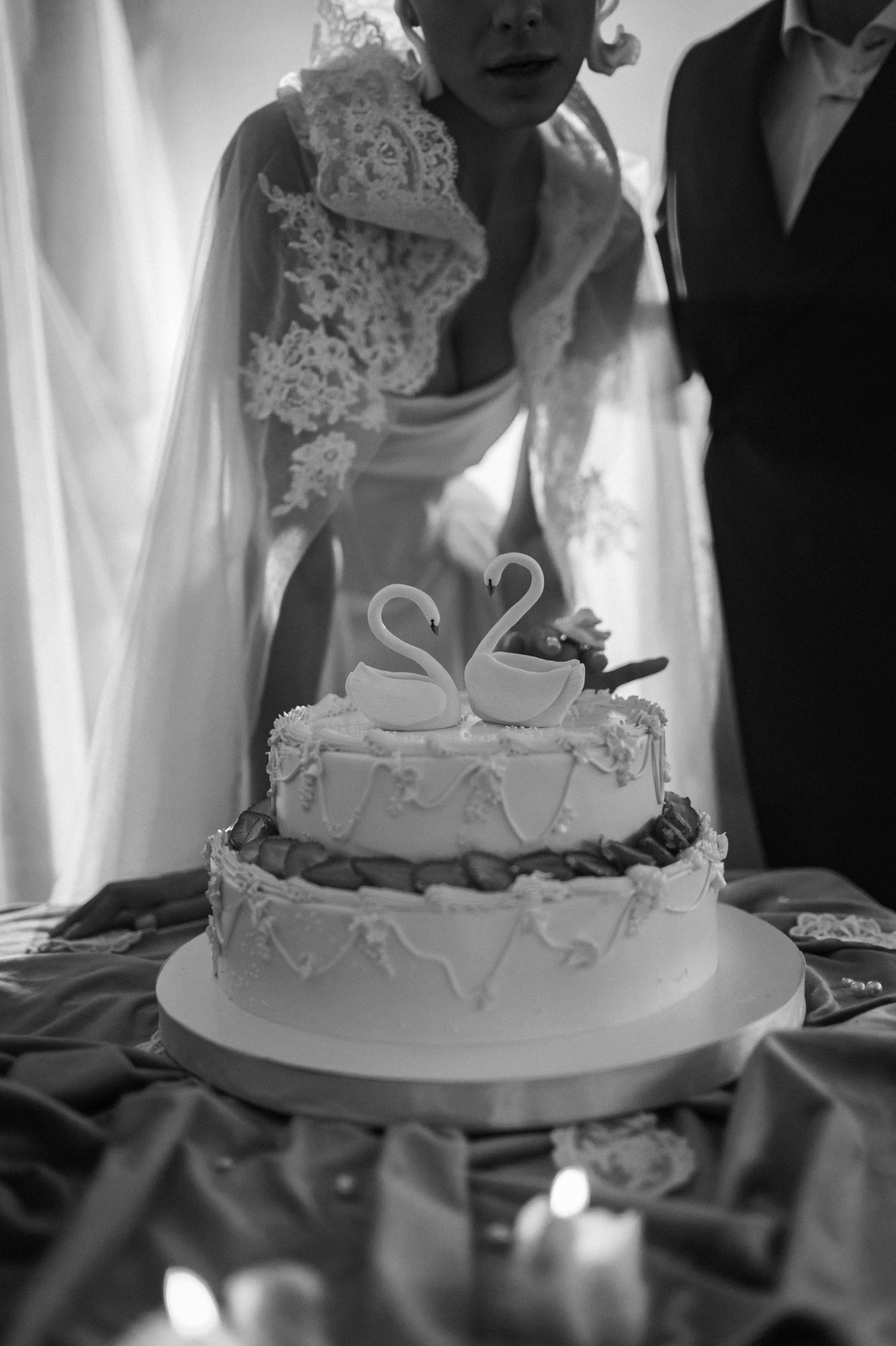 The white swan. Свадебный фотограф Дарья Жакова