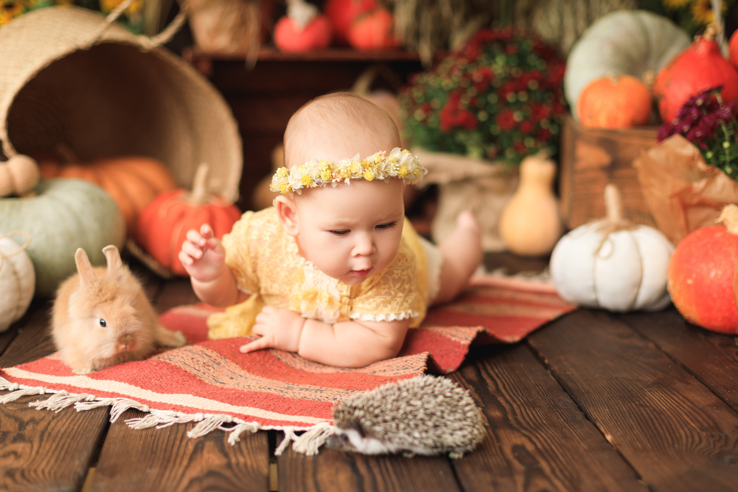 Малыши 3-5 мес. Детский Фотограф Анжелика Газиева