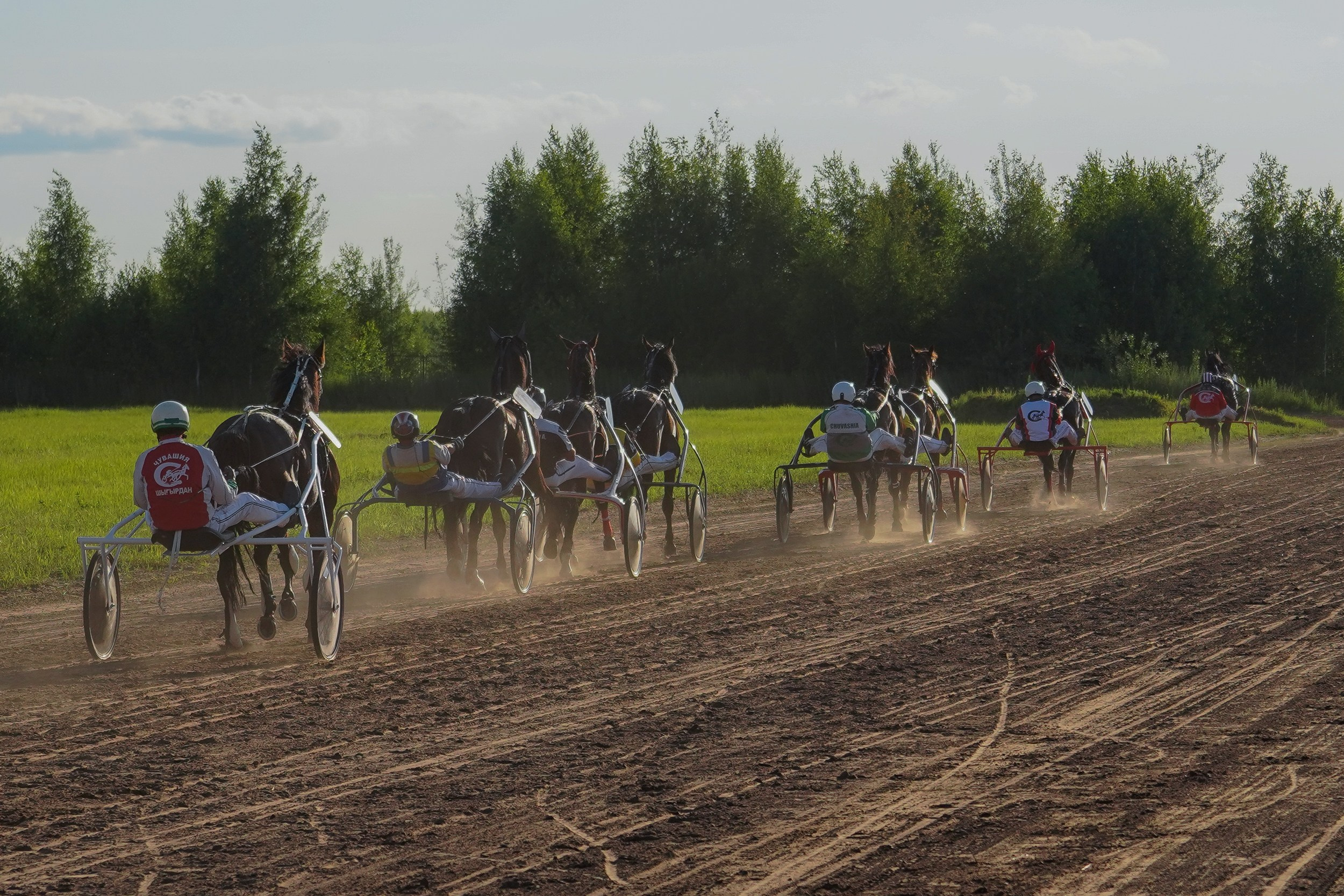 III конные бега на Кубок Главы Чувашии. Фотограф-анималист, портретный фотограф в Чебоксарах Мария Садыкова