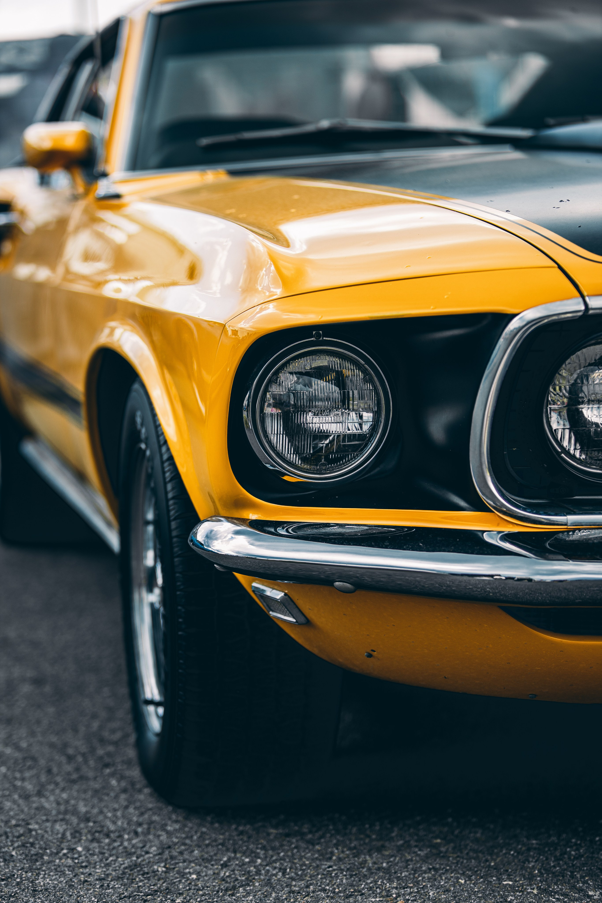 GARAGE FEST Игора Драйв 2025!. Многопрофильный фотограф в Санкт-Петербурге Светлана Вельгас