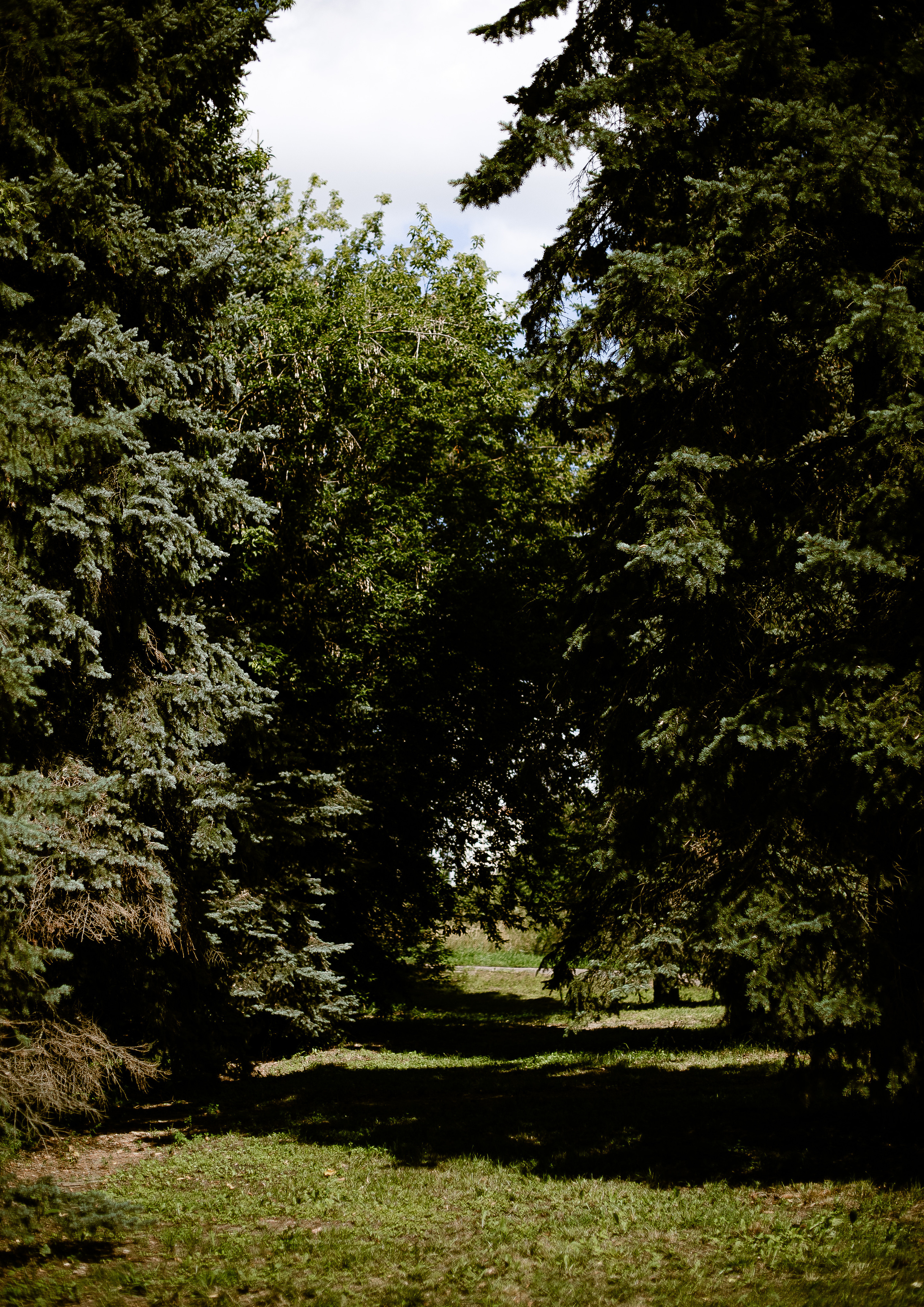 Wedding Nikolay&Yana. Фотограф в Нижнем Новгороде, Москве и Сарове Гончаренко Евгения