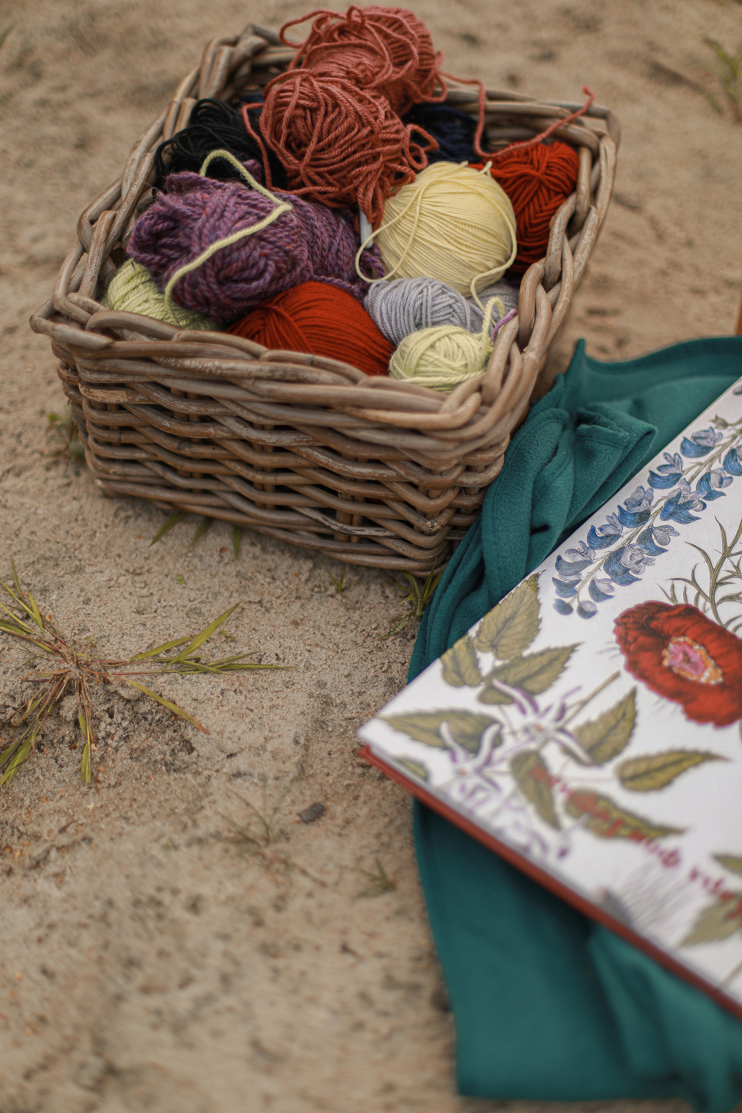 Family. Alisa & Glasha. Фотограф в Нижнем Новгороде, Москве и Сарове Гончаренко Евгения