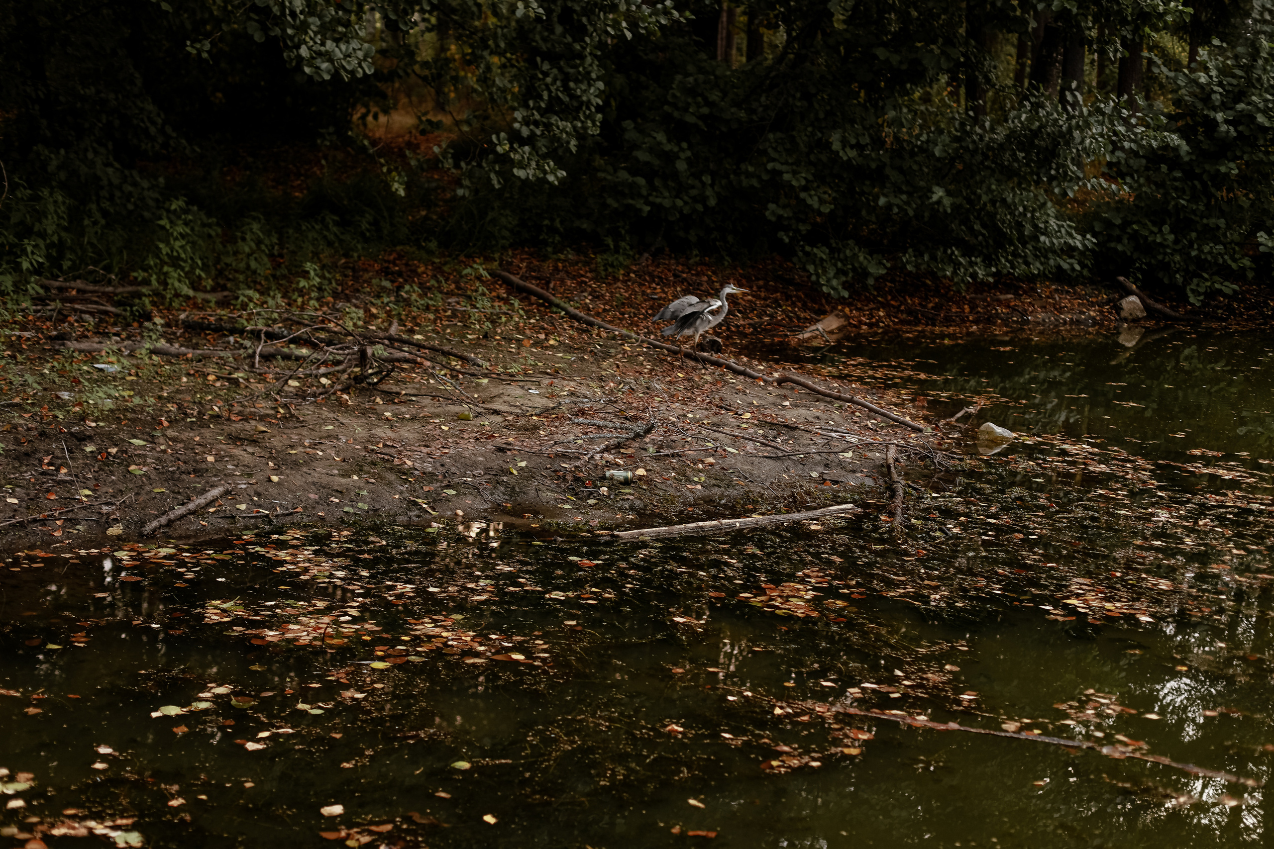 Family. Alisa & Glasha. Фотограф в Нижнем Новгороде, Москве и Сарове Гончаренко Евгения