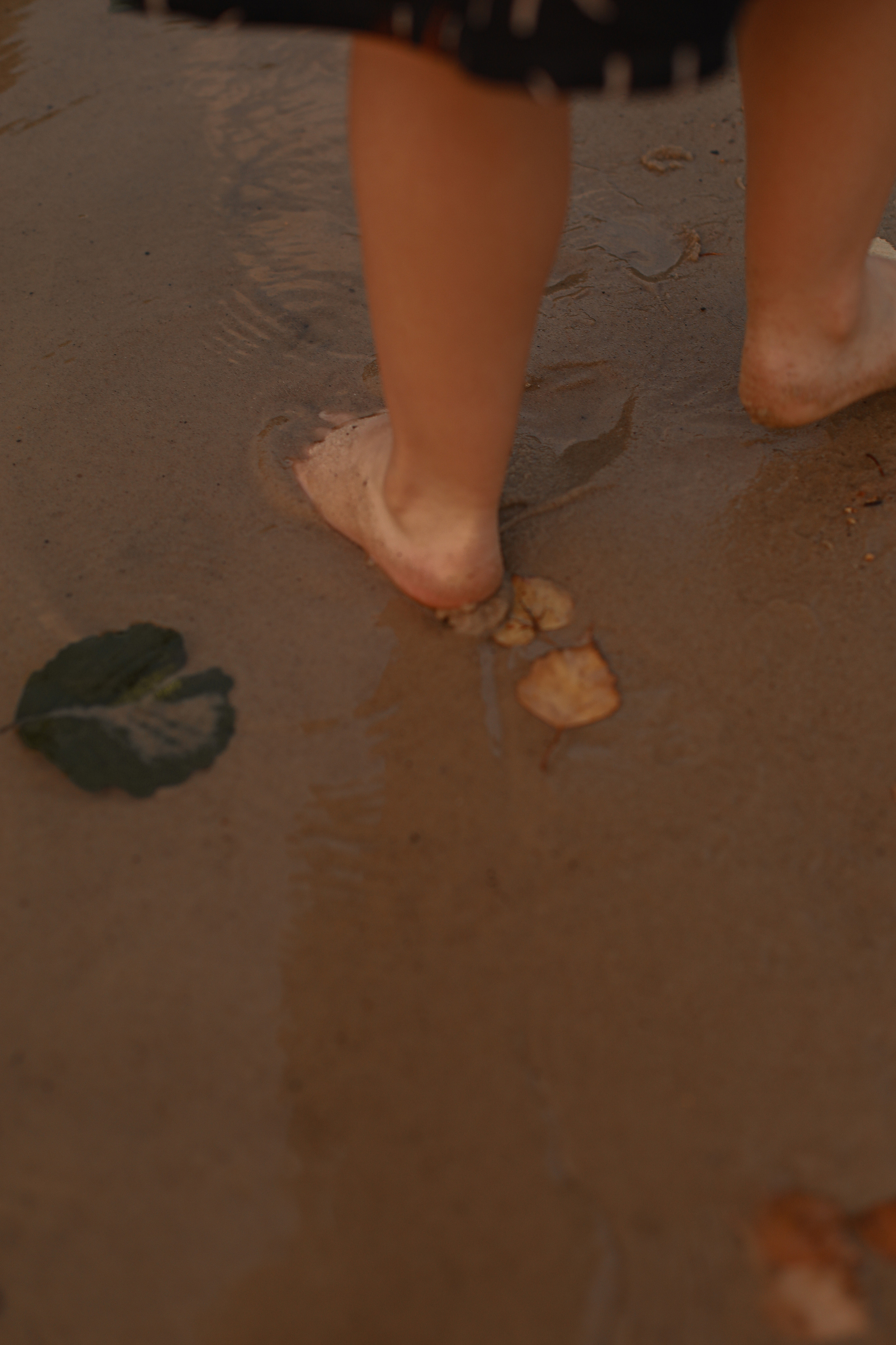 Family. Alisa & Glasha. Фотограф в Нижнем Новгороде, Москве и Сарове Гончаренко Евгения