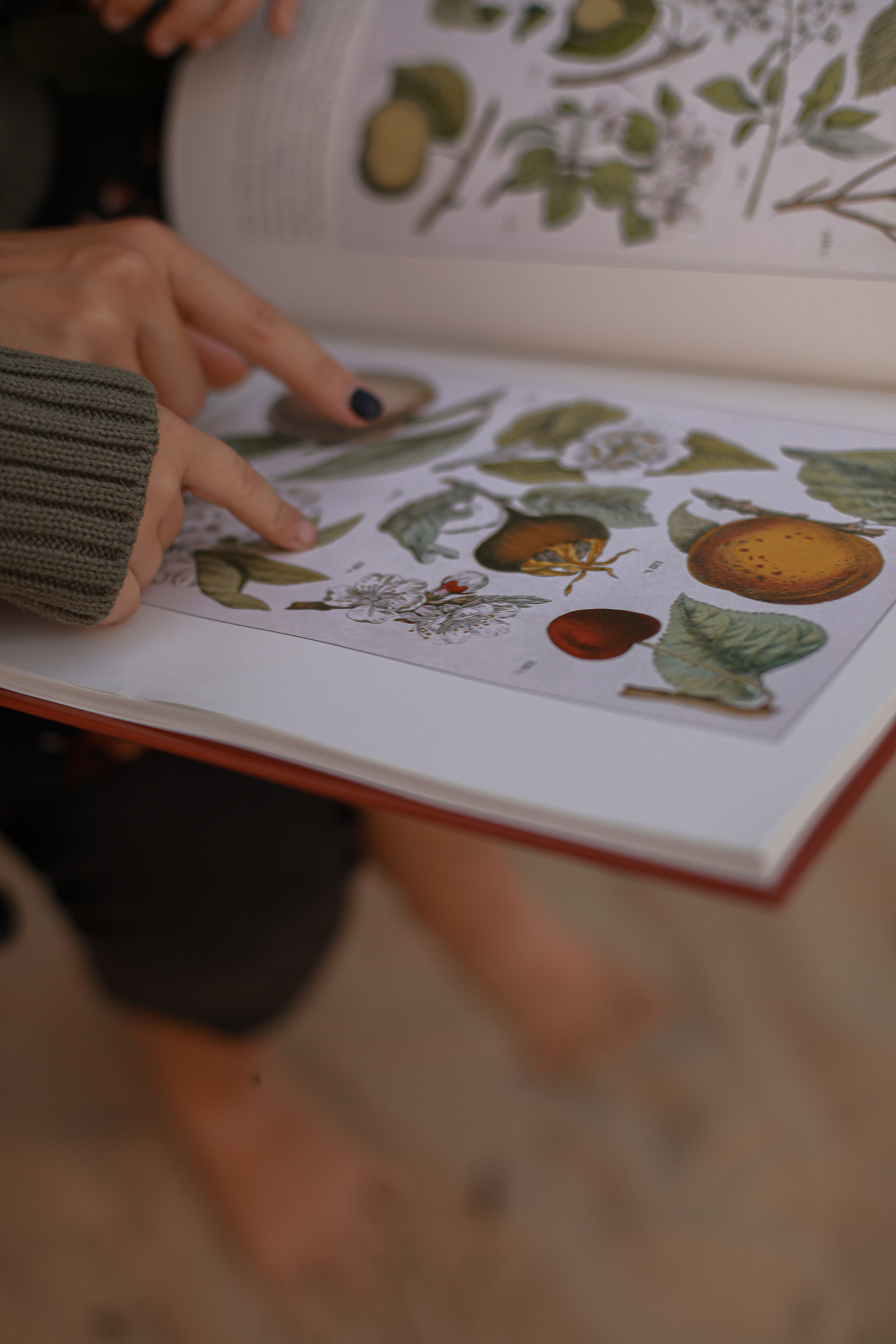 Family. Alisa & Glasha. Фотограф в Нижнем Новгороде, Москве и Сарове Гончаренко Евгения