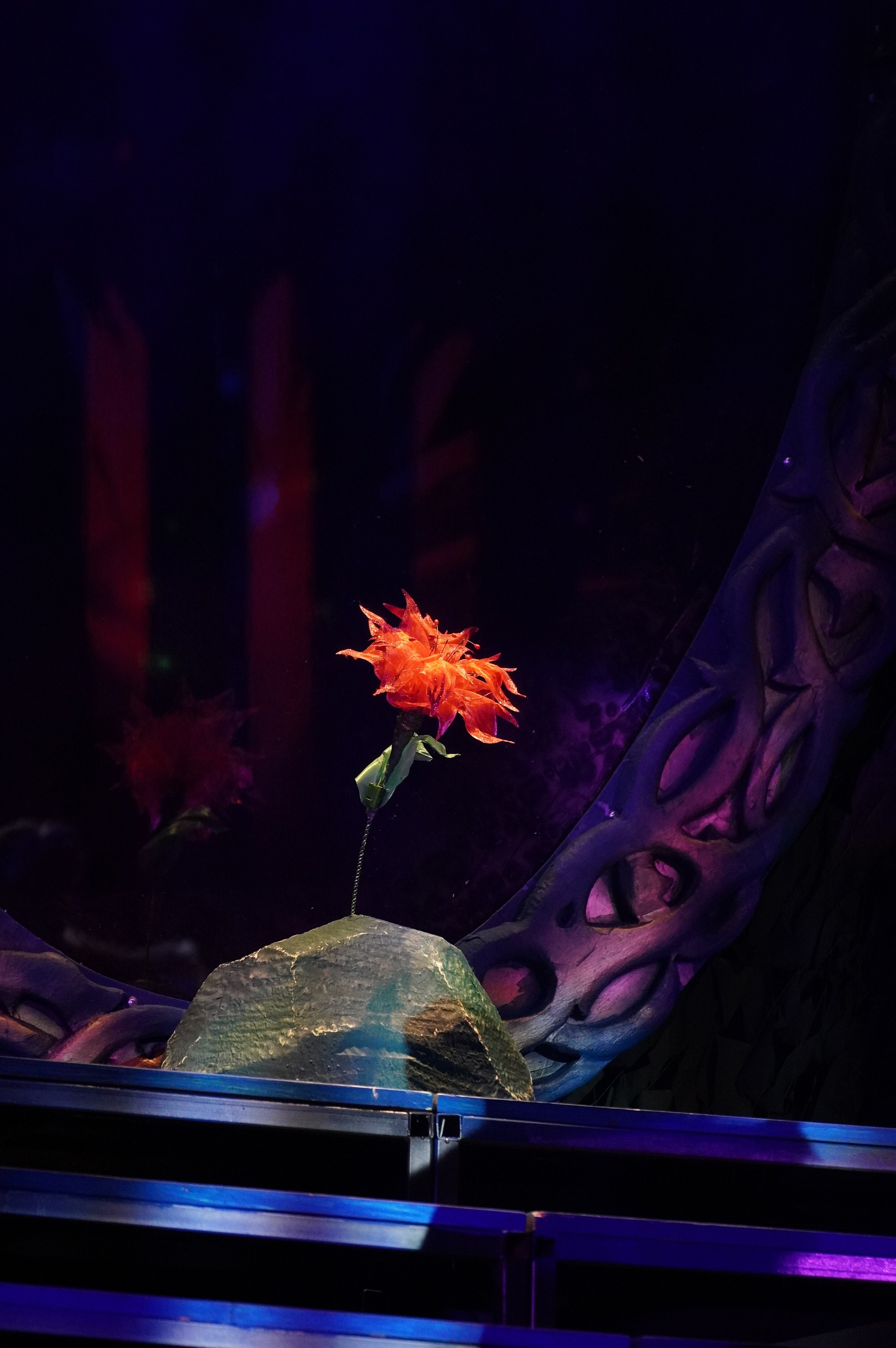 Аленький Цветочек (НЭТ). Maxon Magnusson