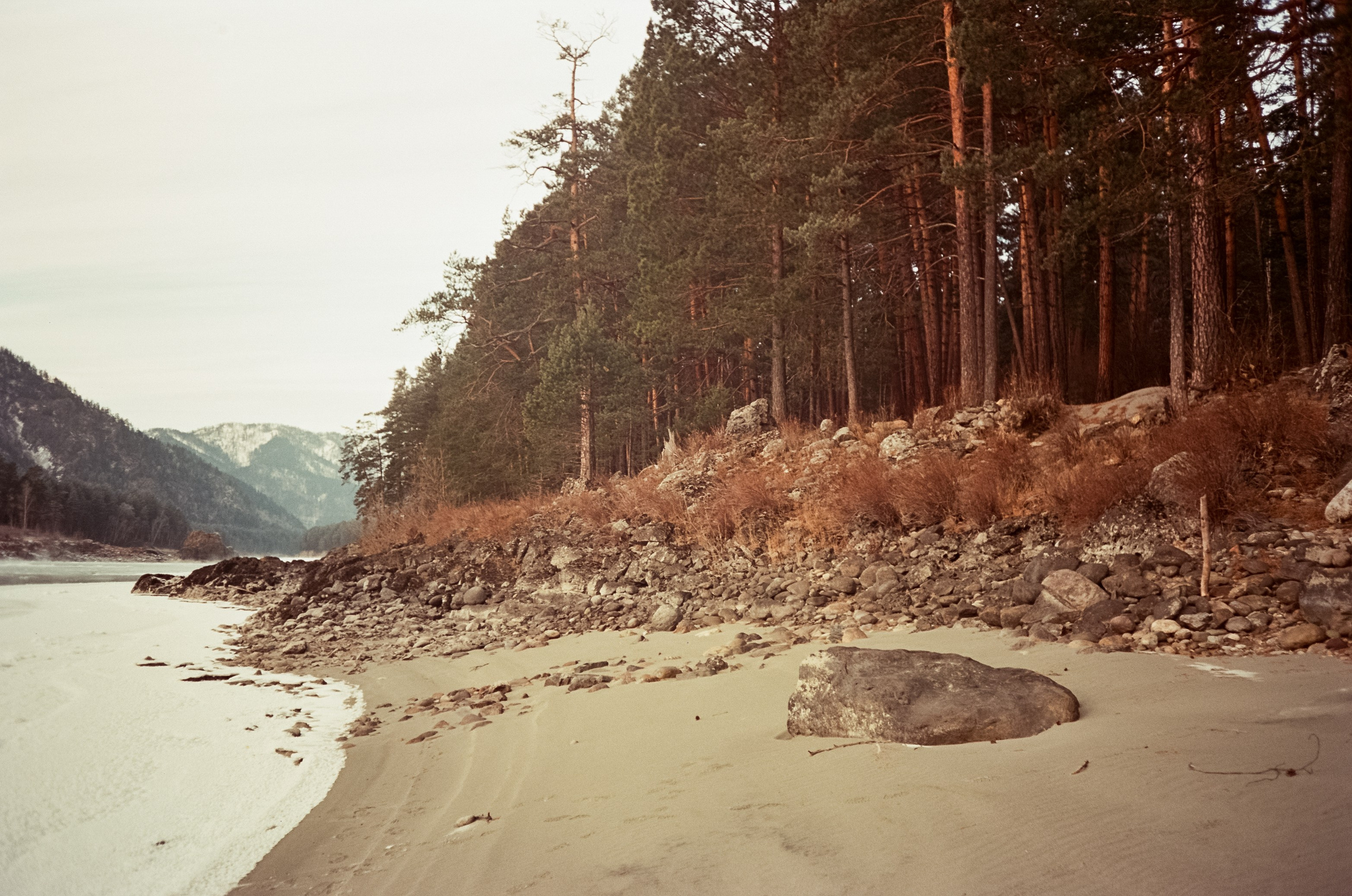Кызыл-Таш и Семинская поляна. Катунь, пляж, мостки и сосны. Фотограф-документалист Мария Осокина