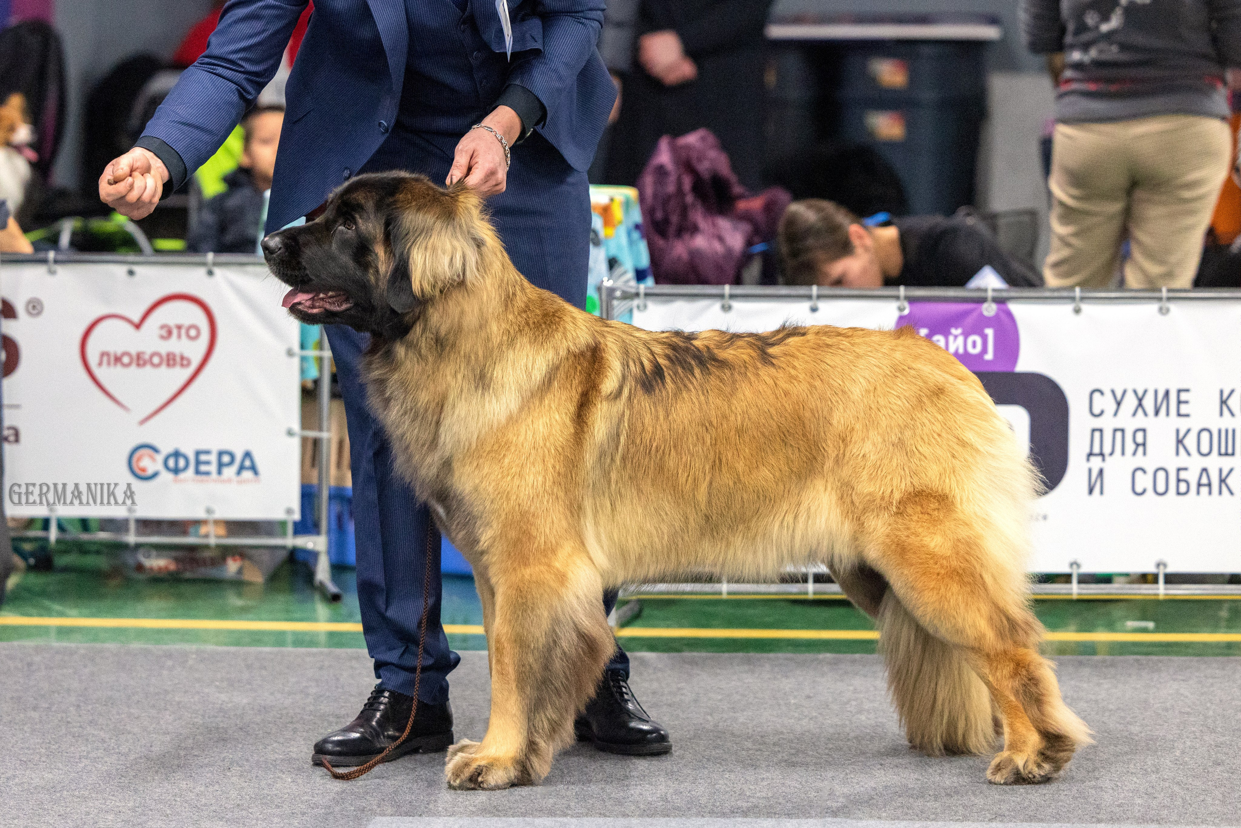Сфера 28.01. и 4.02.2024. Фотограф-анималист Юлия Германика