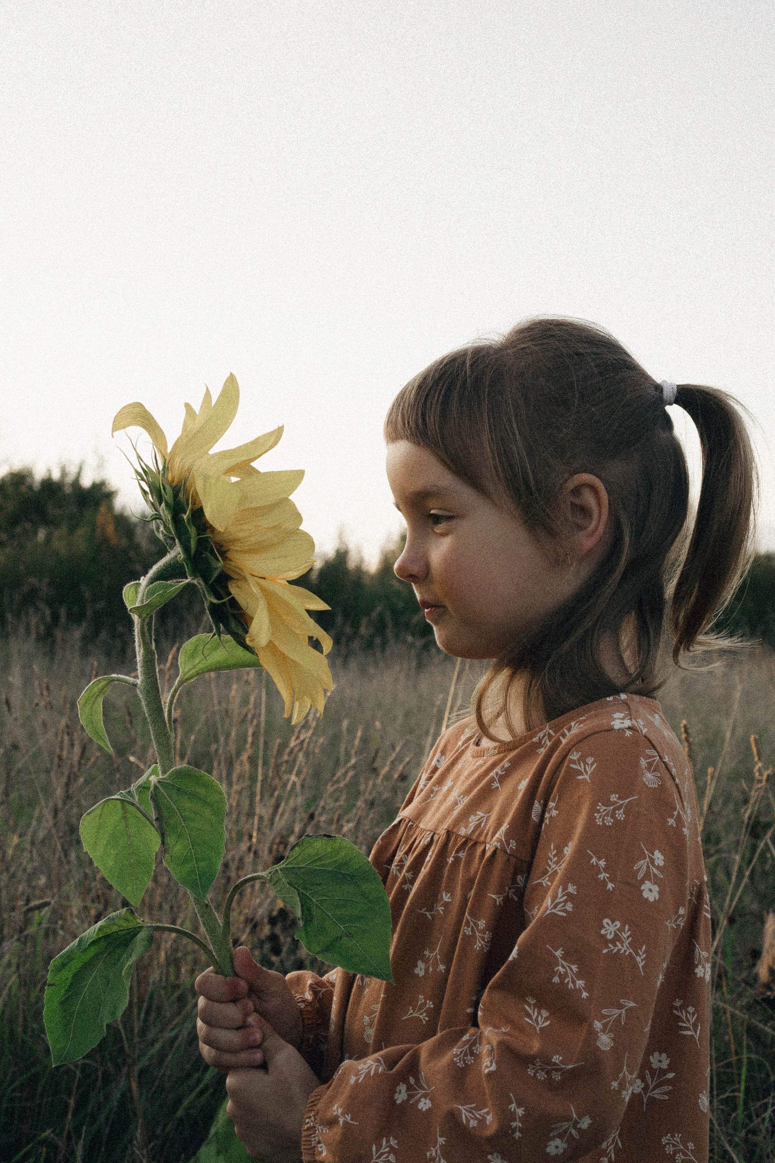 Семейная серия. Профессиональный фотограф, Санкт-Петербург — Виктория Богомолова