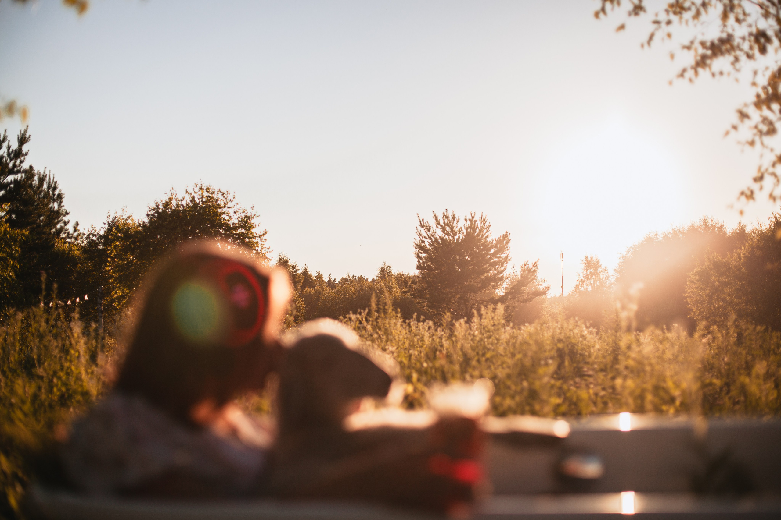 Ванна в поле. Фотограф-анималист Татьяна Степанова
