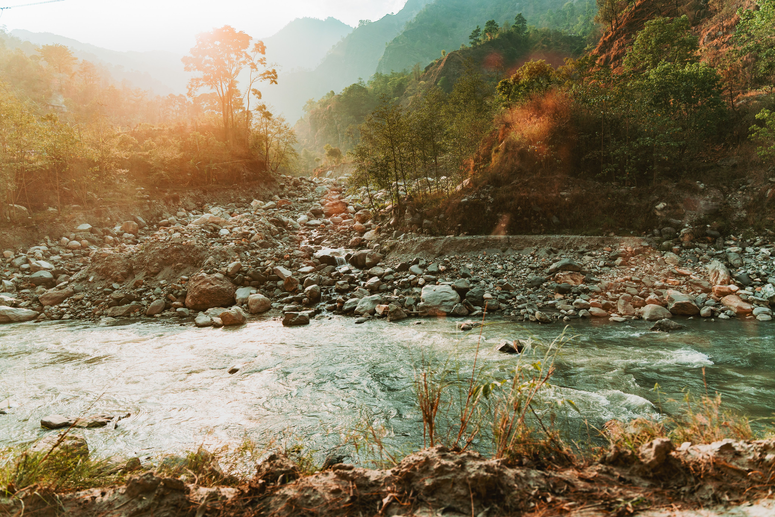 Королевство Мустанг. Dmitry Ippolitov