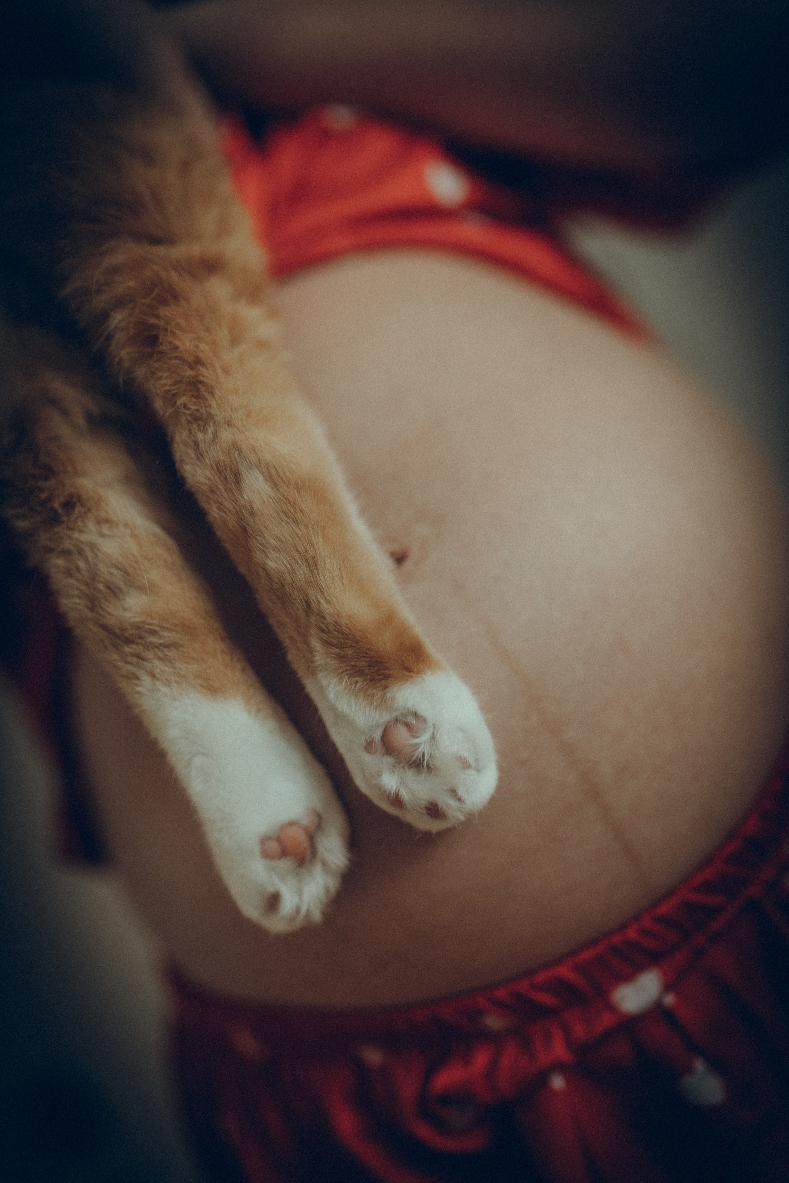 Аня & Кирилл. Семейный фотограф и фотограф на роды в Ростове-на-Дону Мухина Виктория