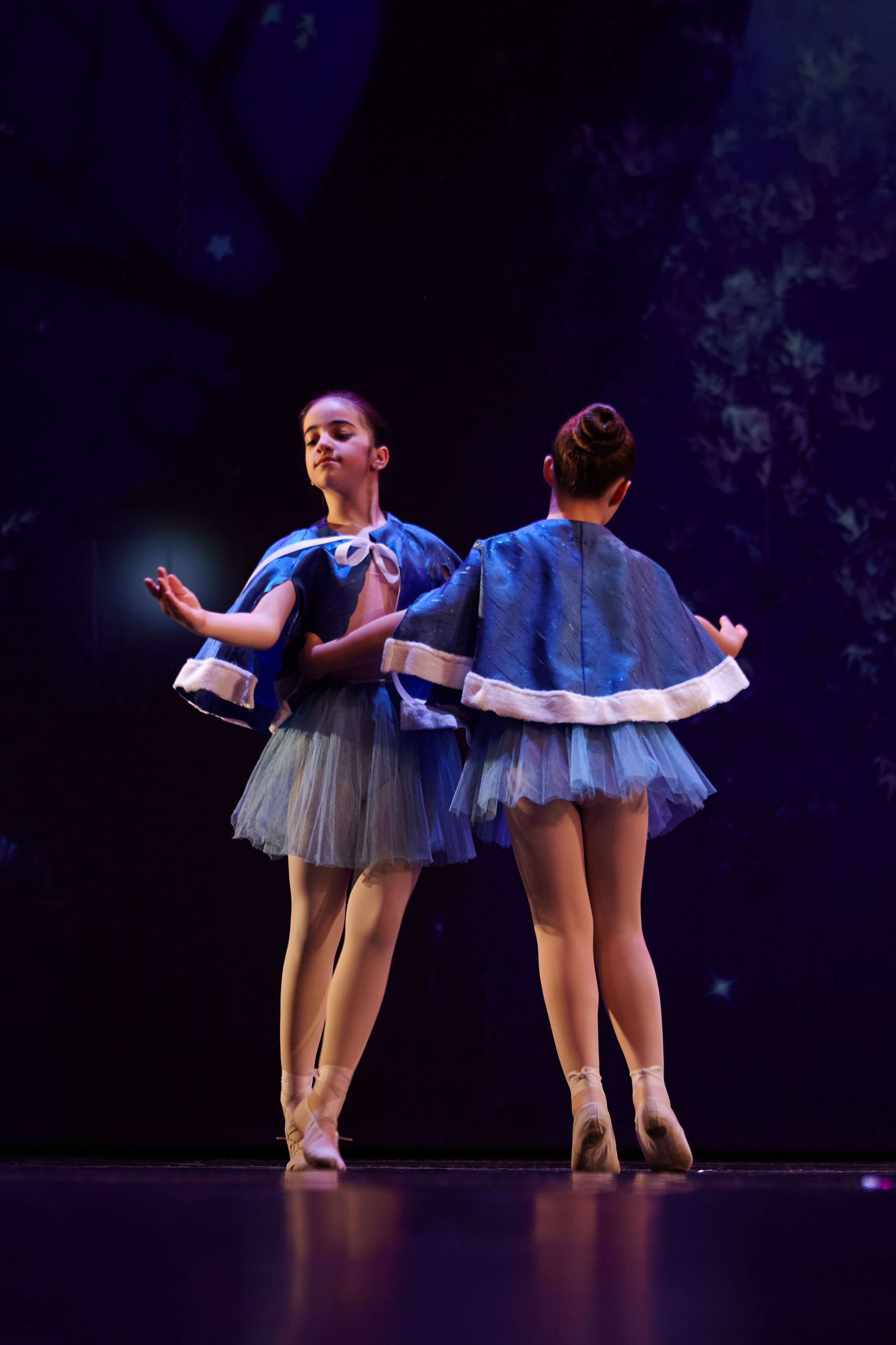 Концерты. Виолетта Скрипка