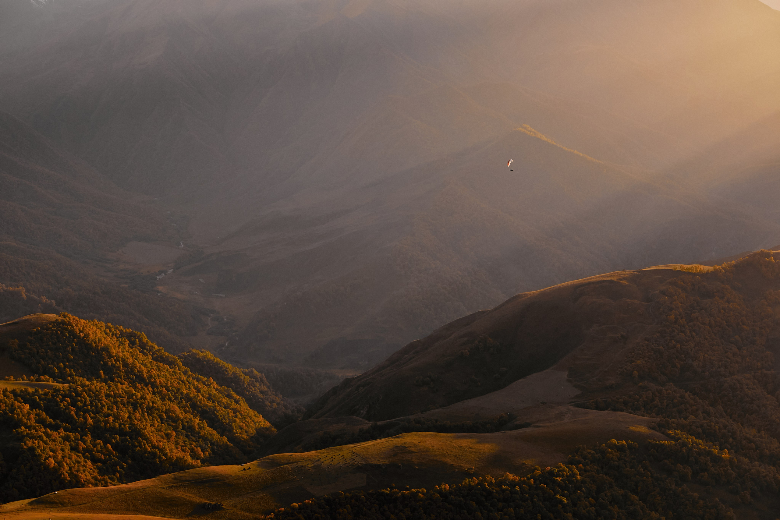Лха 2500. Фотограф Продюсер в горах КБР / Москва  Нальчик Горы