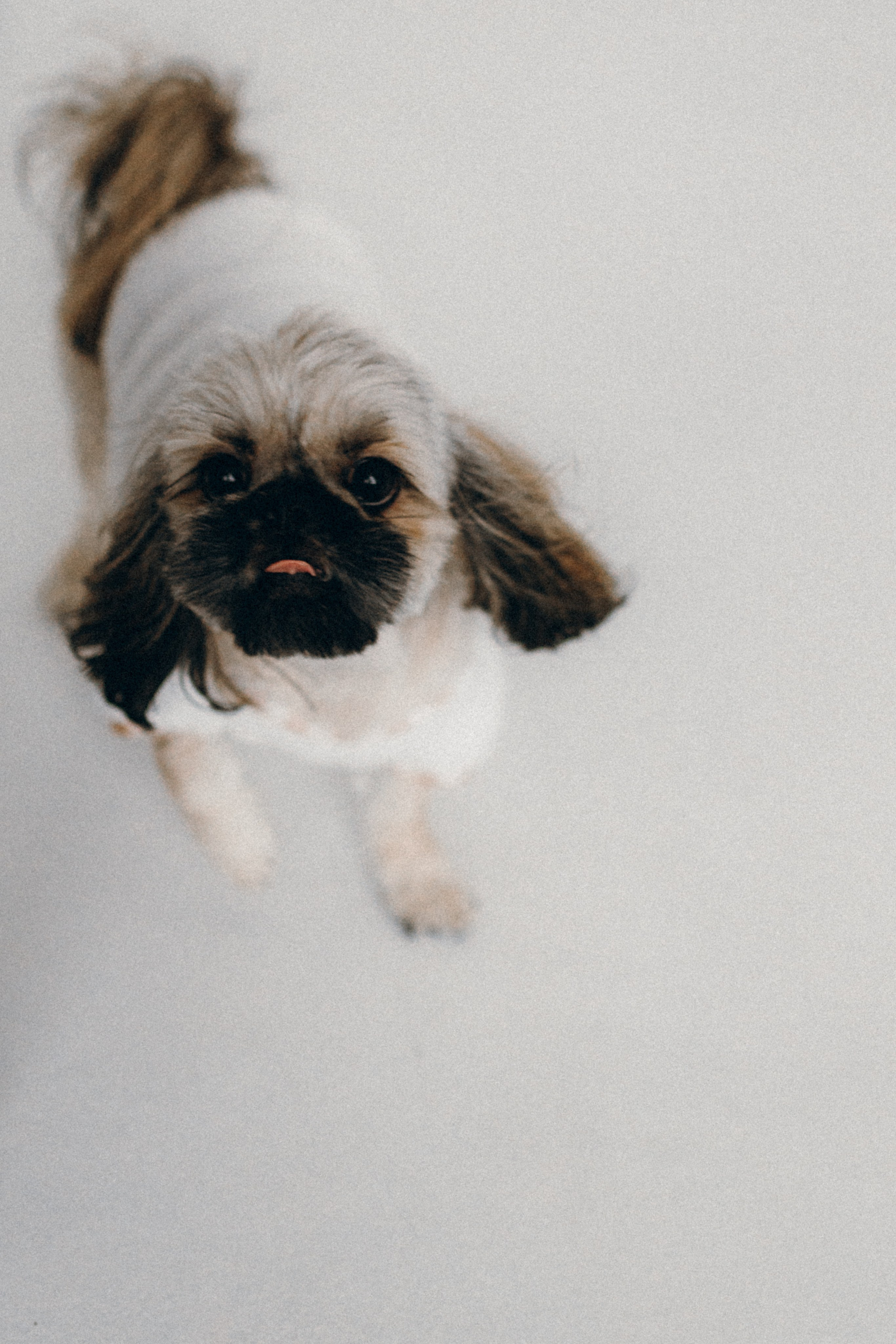 Алина. Фотограф НОГИНСК, Москва, Анастасия Белая