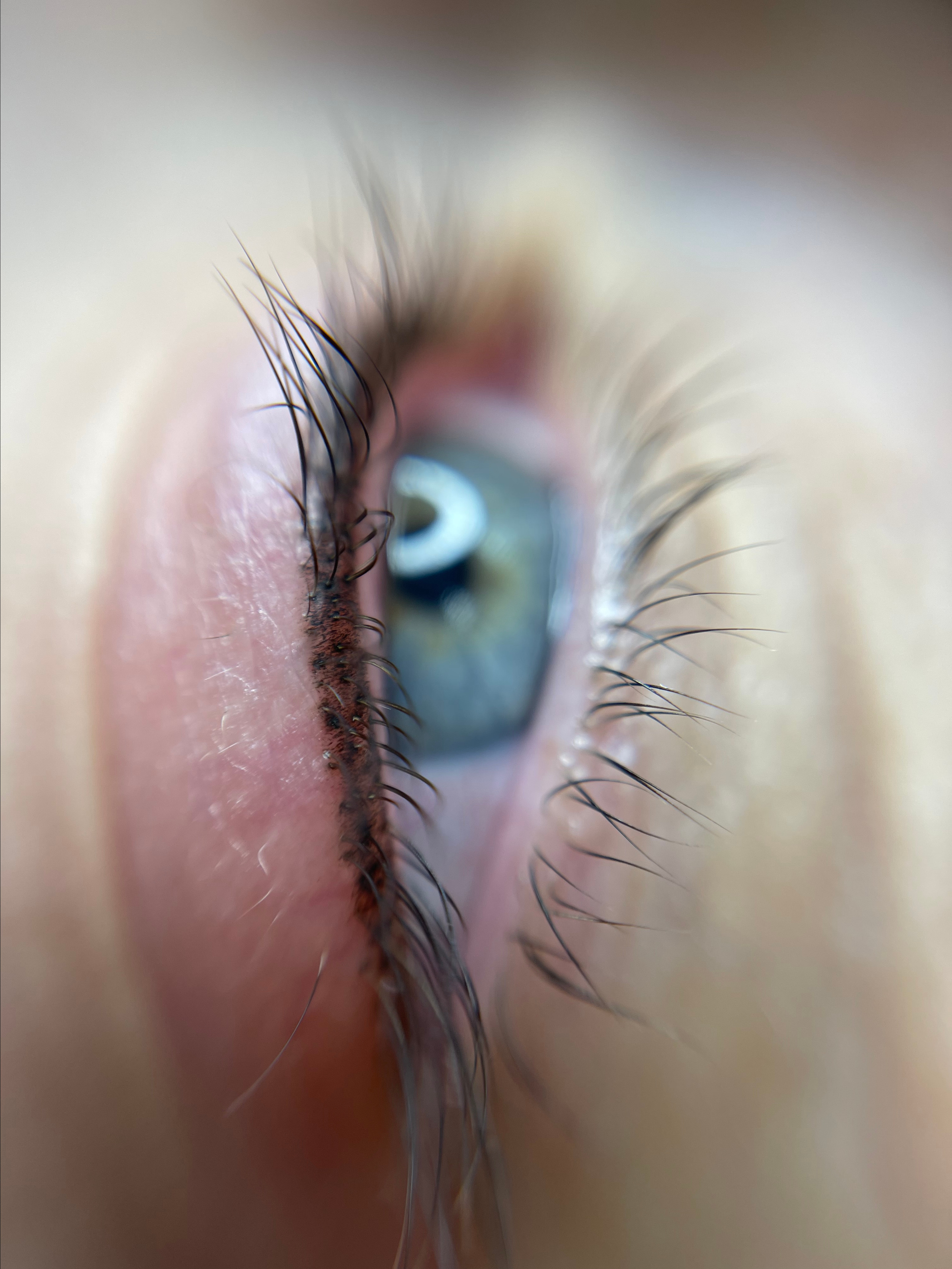 ВЕКИ межресничное пространство. Перманентный макияж и удаление старого татуажа в Ростове-на-Дону Дарья Исакова