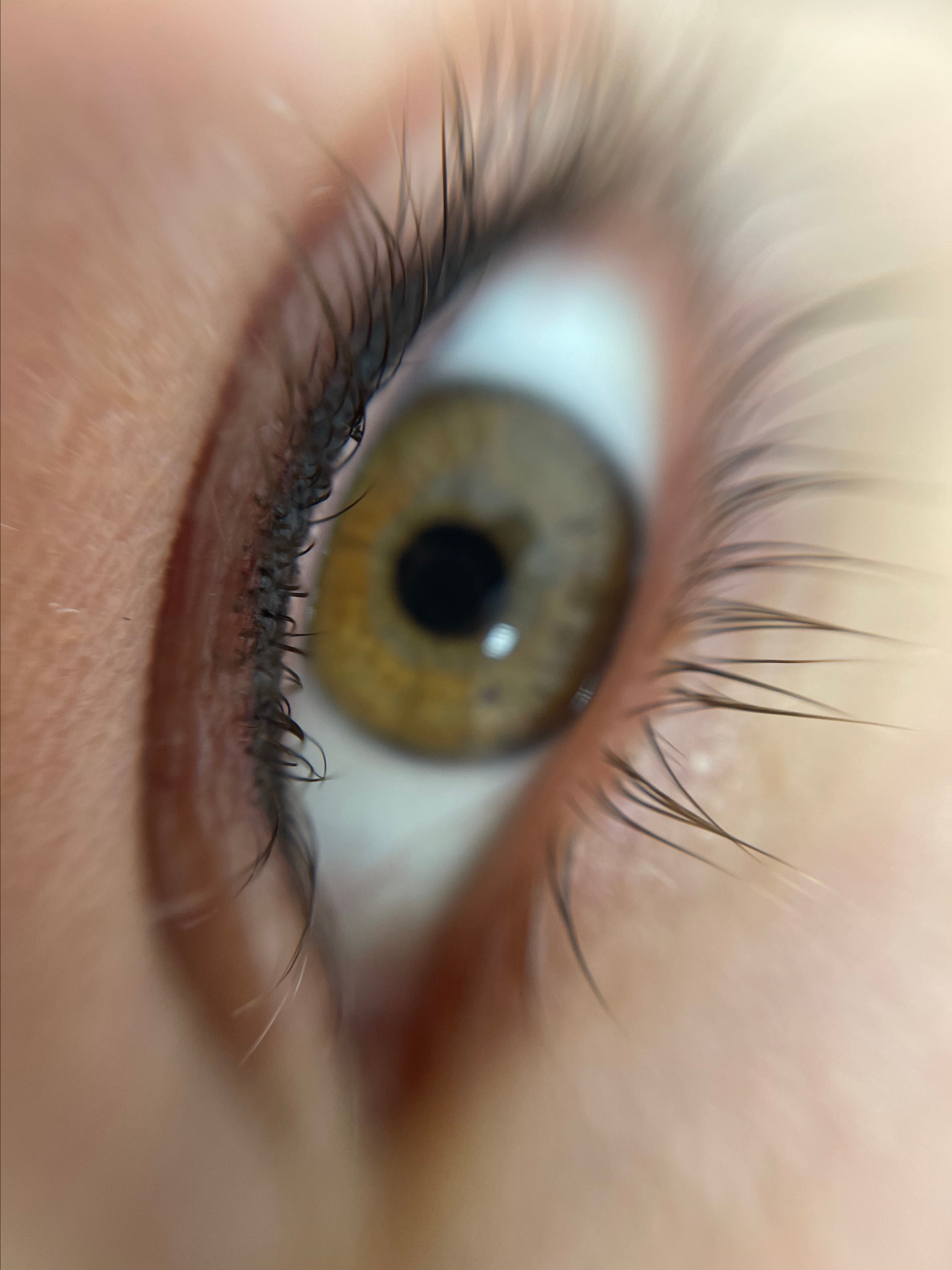 заполнение межресничного пространства бархатным черным цветом