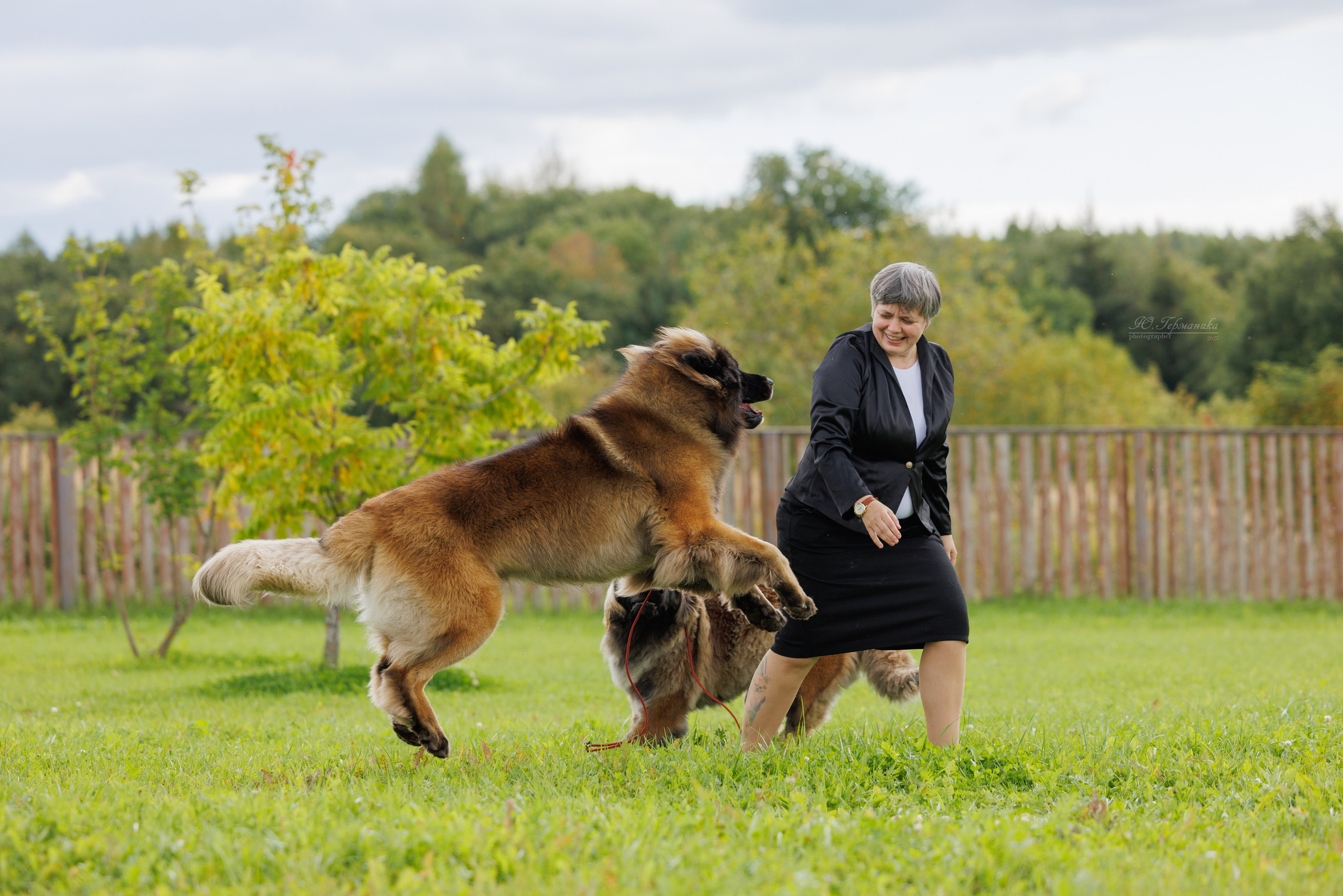 Переславль 5-7.08.2025. Фотограф-анималист Юлия Германика