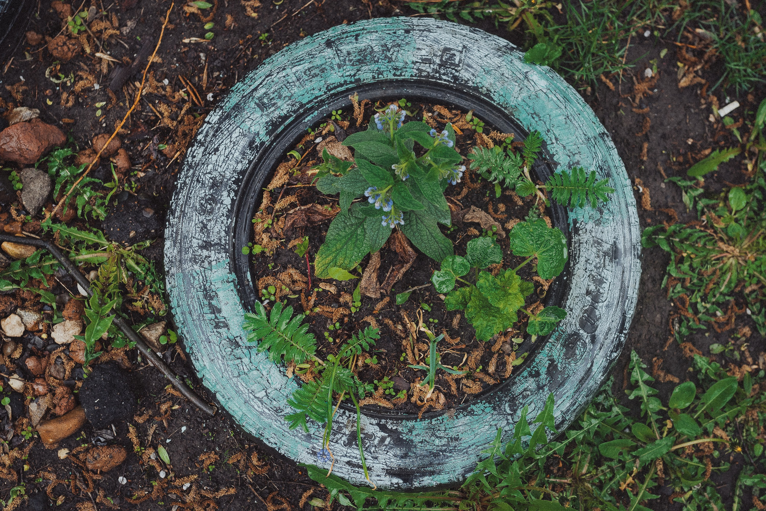 Фотопроект «ЯШина». Документальный фотограф Илья Тихановский