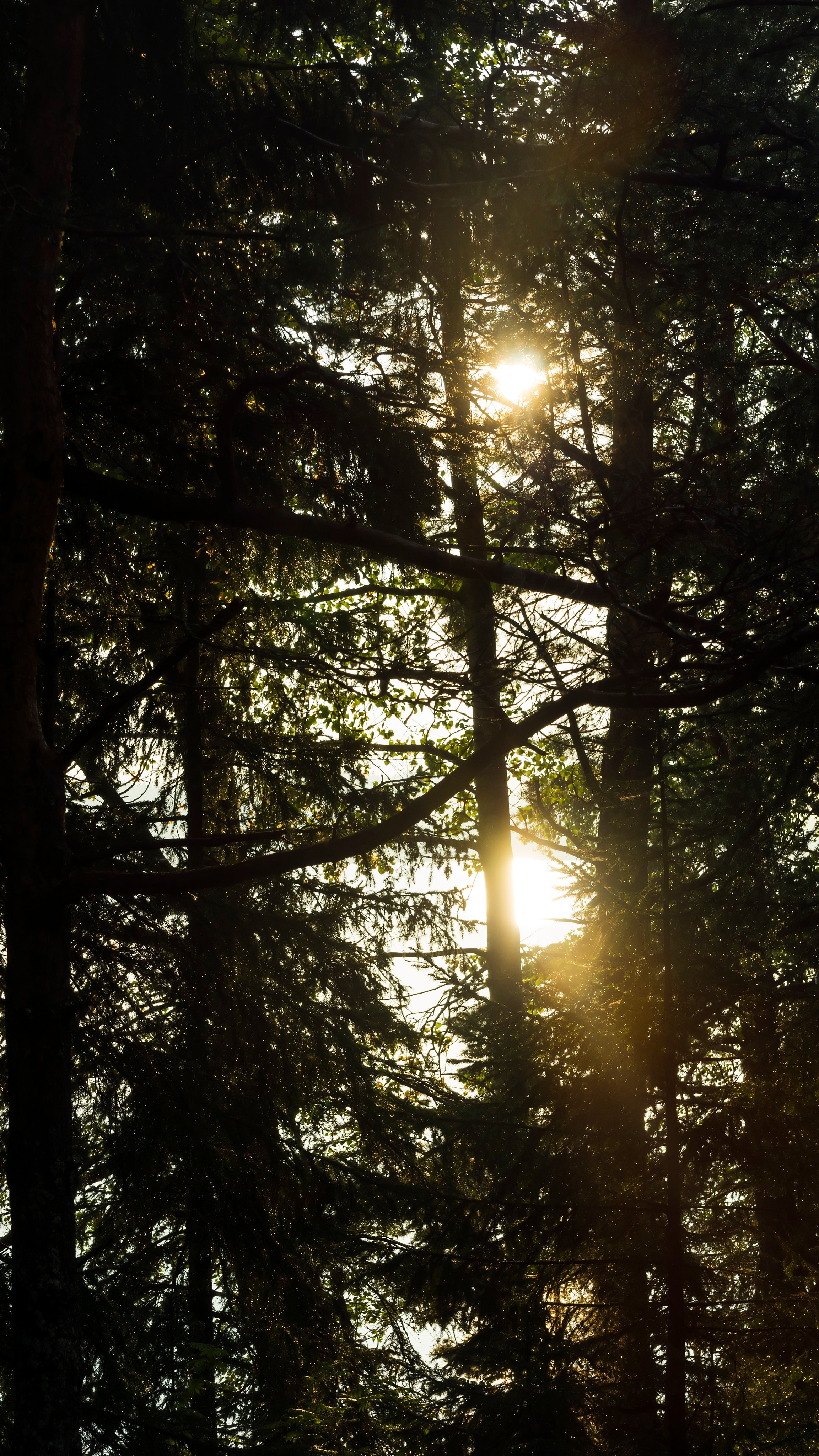 Карелия. Фотограф-путешественник Самойлов Максим «Sly Fox»