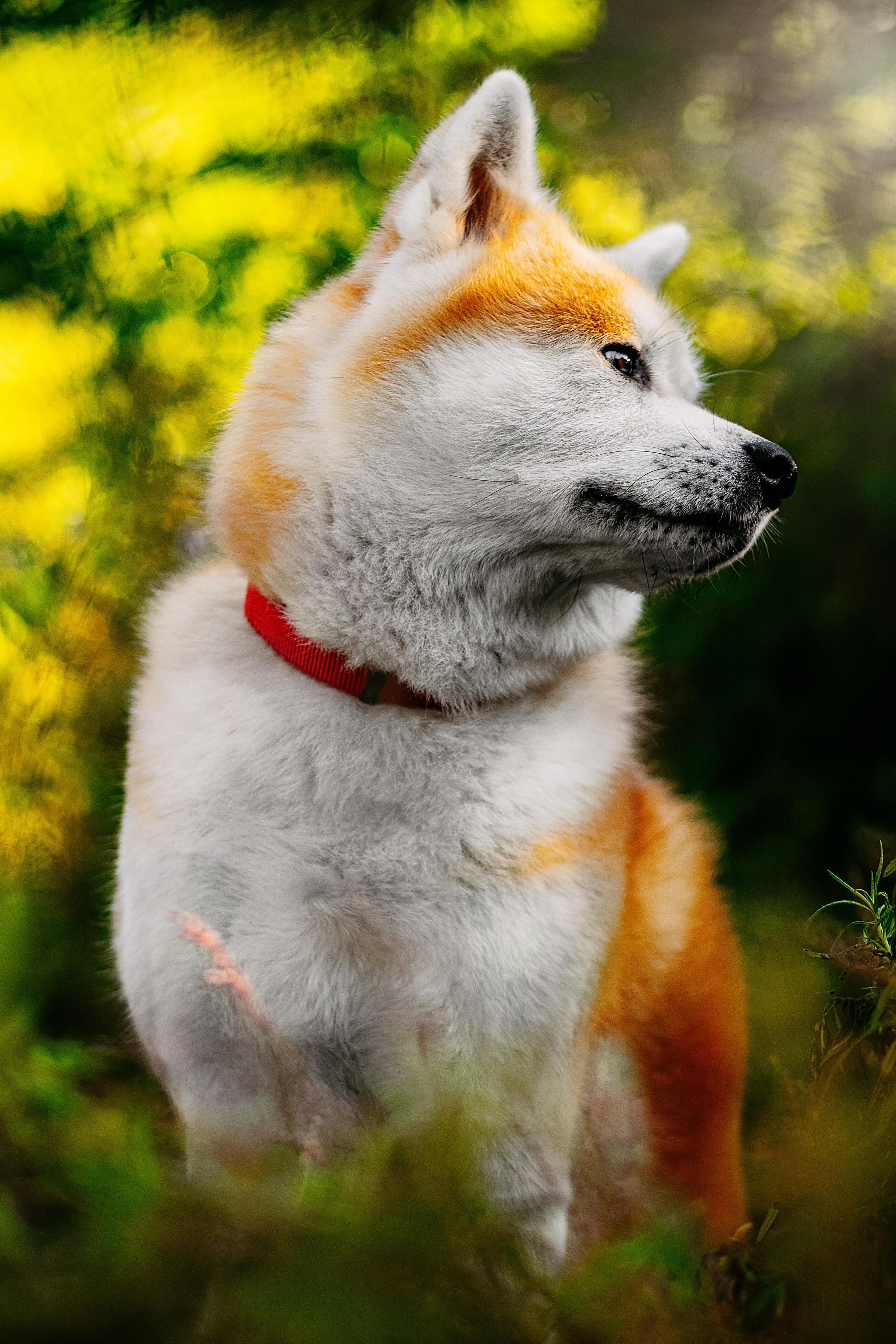 Вальтер. Фотограф в Арсеньеве