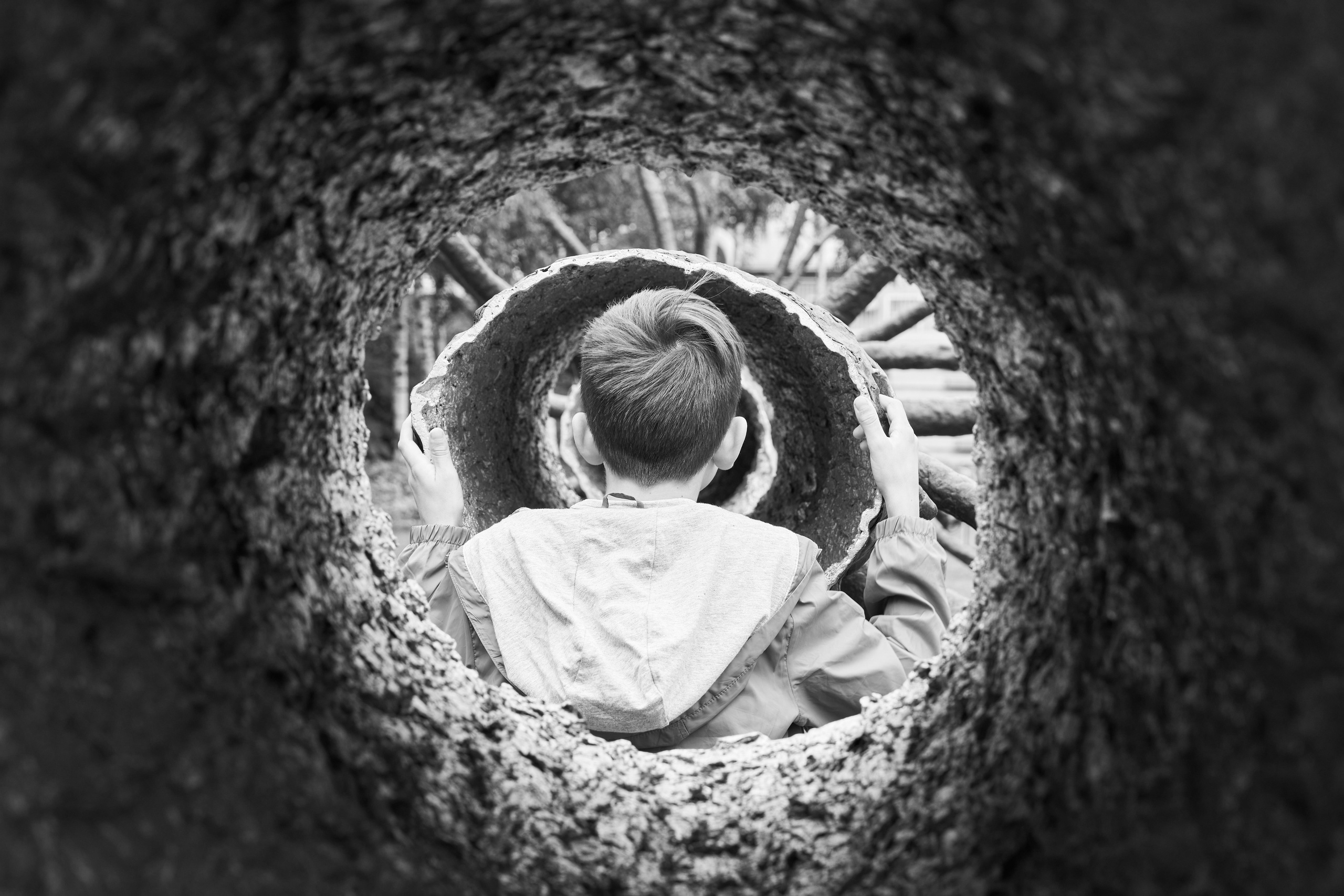 Сад и композиция из полых стволов деревьев в ГЭС-2