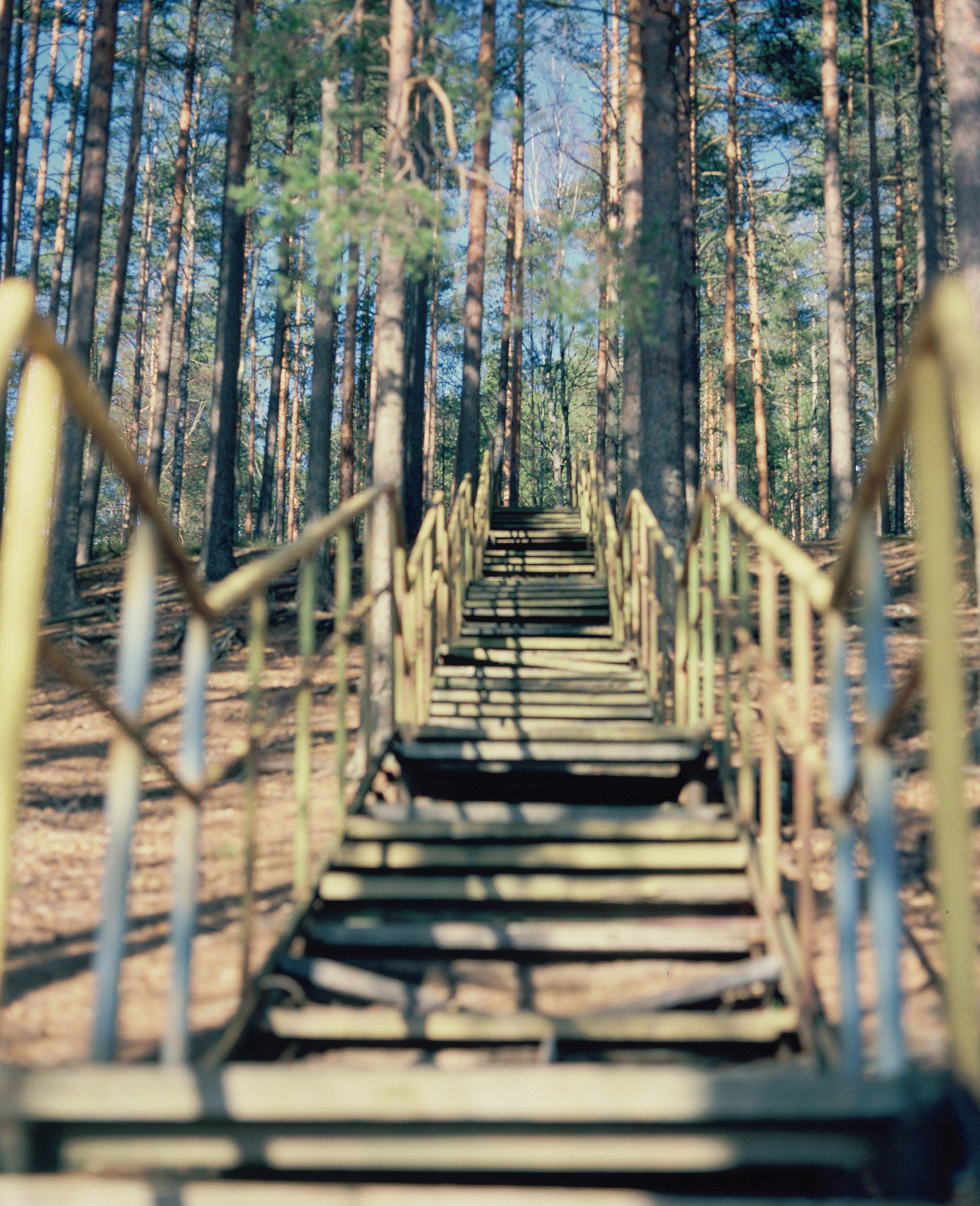 Плёночная весна 2025. Илья Михачёв Фотограф ПРО людей