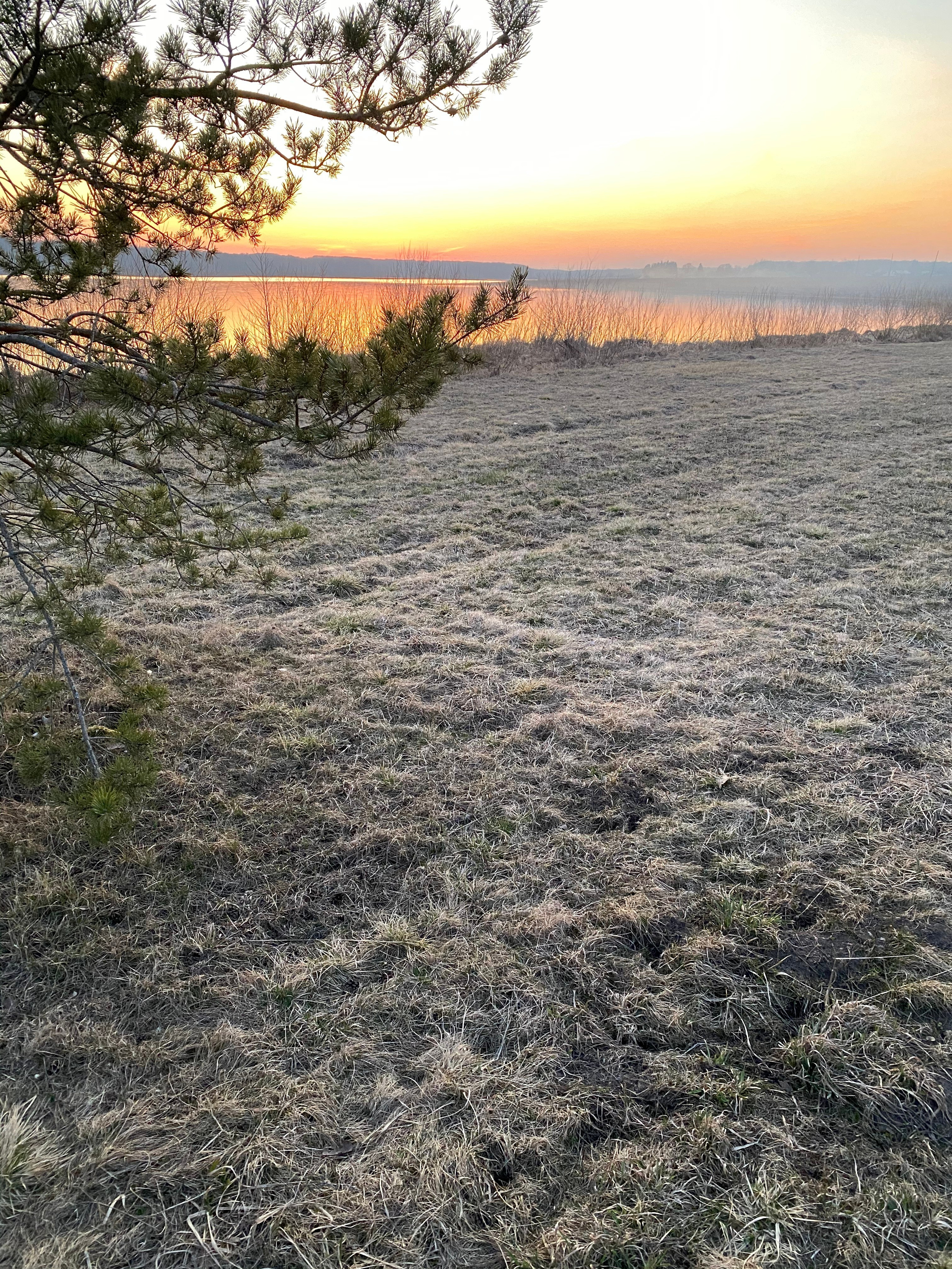 Осетрово — 20. Своя Мастерская