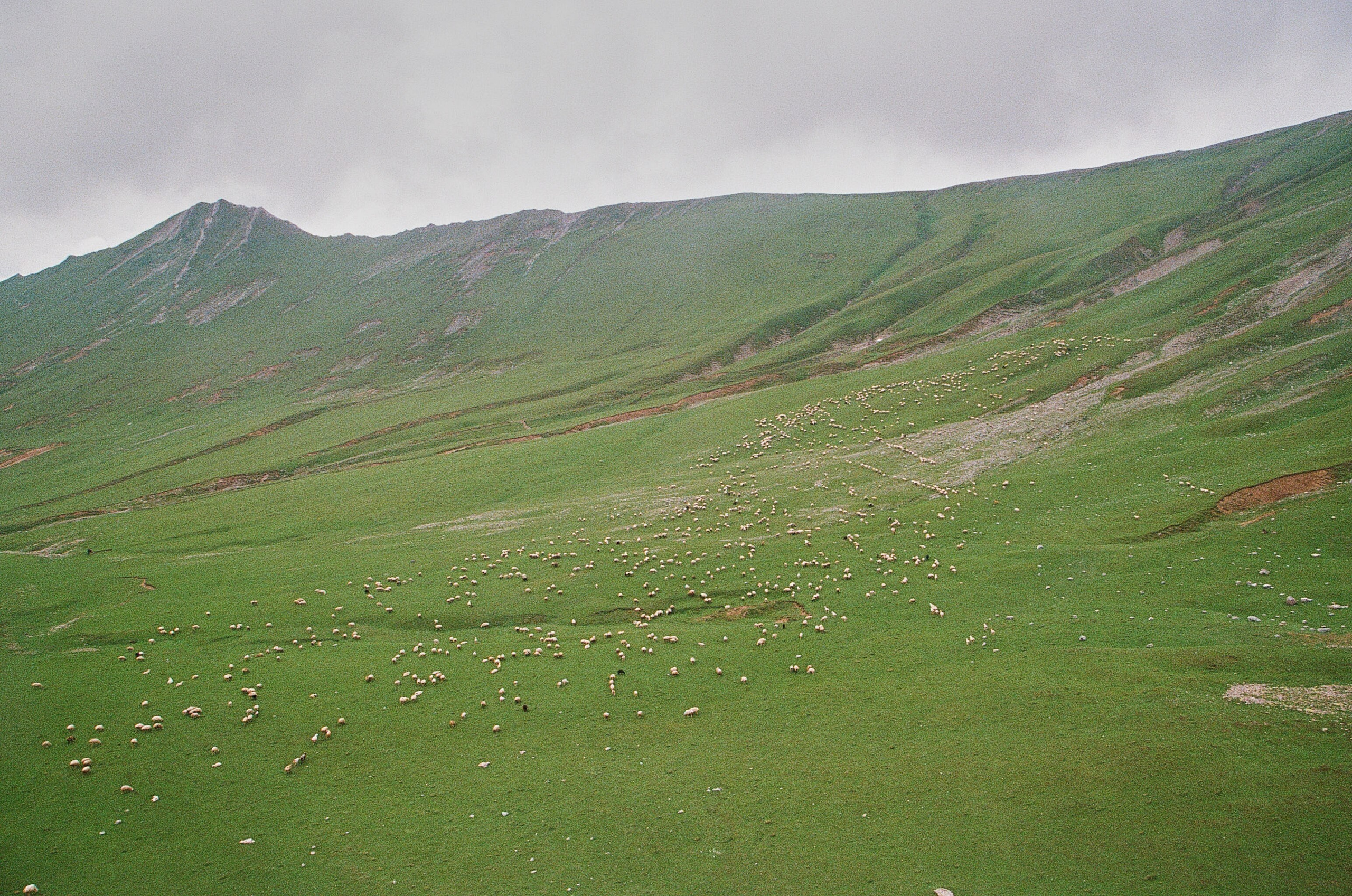 ГРУЗИЯ. ПРИРОДА.25. Профессиональный фотограф Федотова Арина