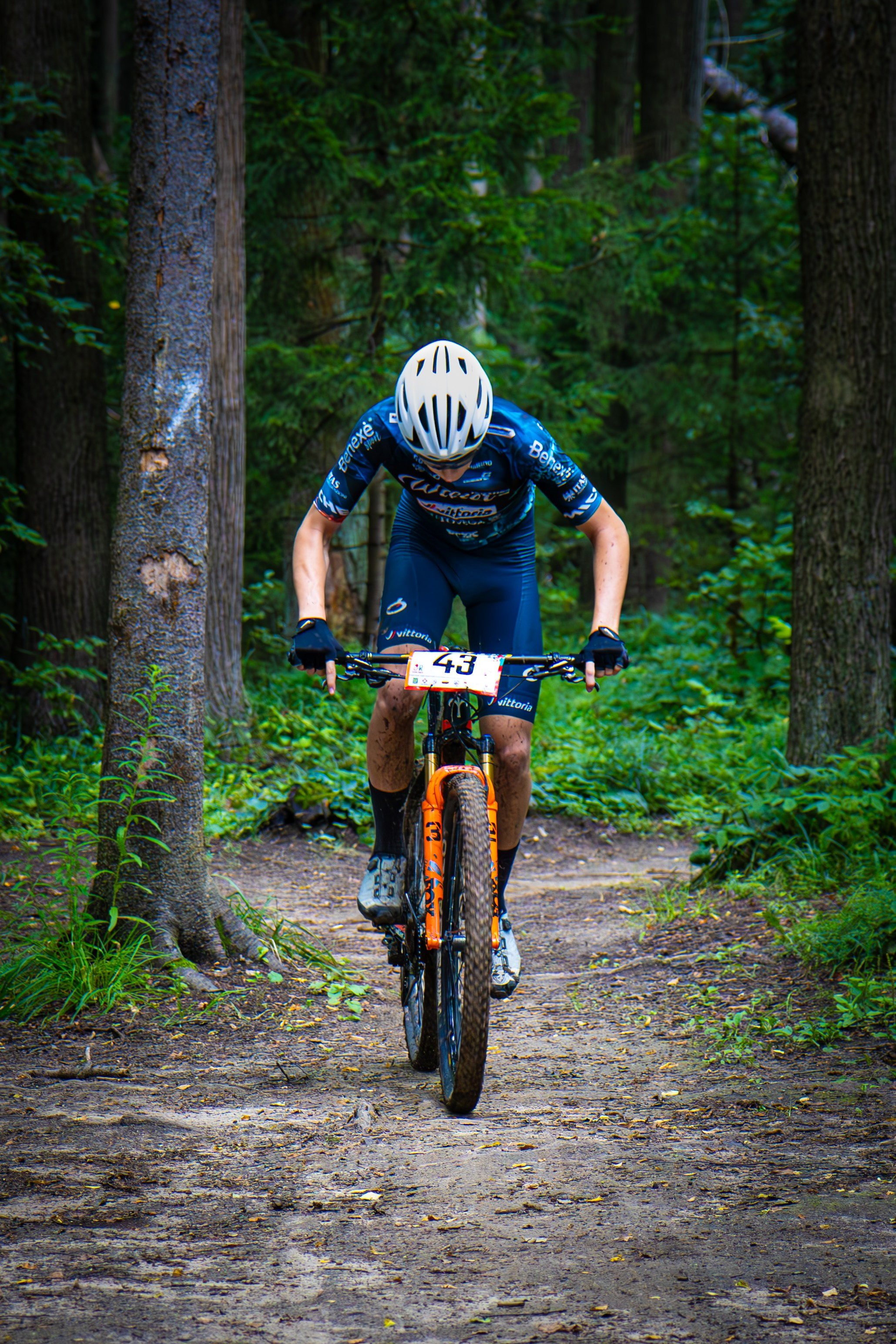 Портфолио «Спорт+»