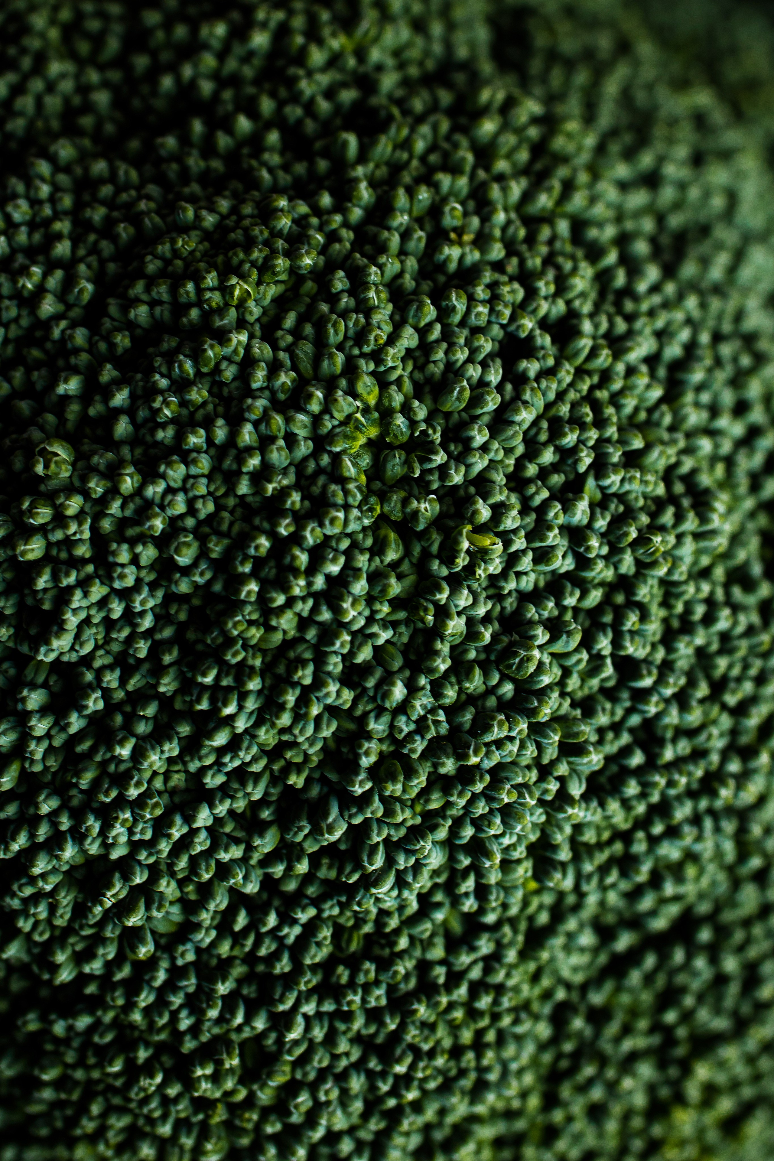 LEVELS. Фотограф Агеева Мария