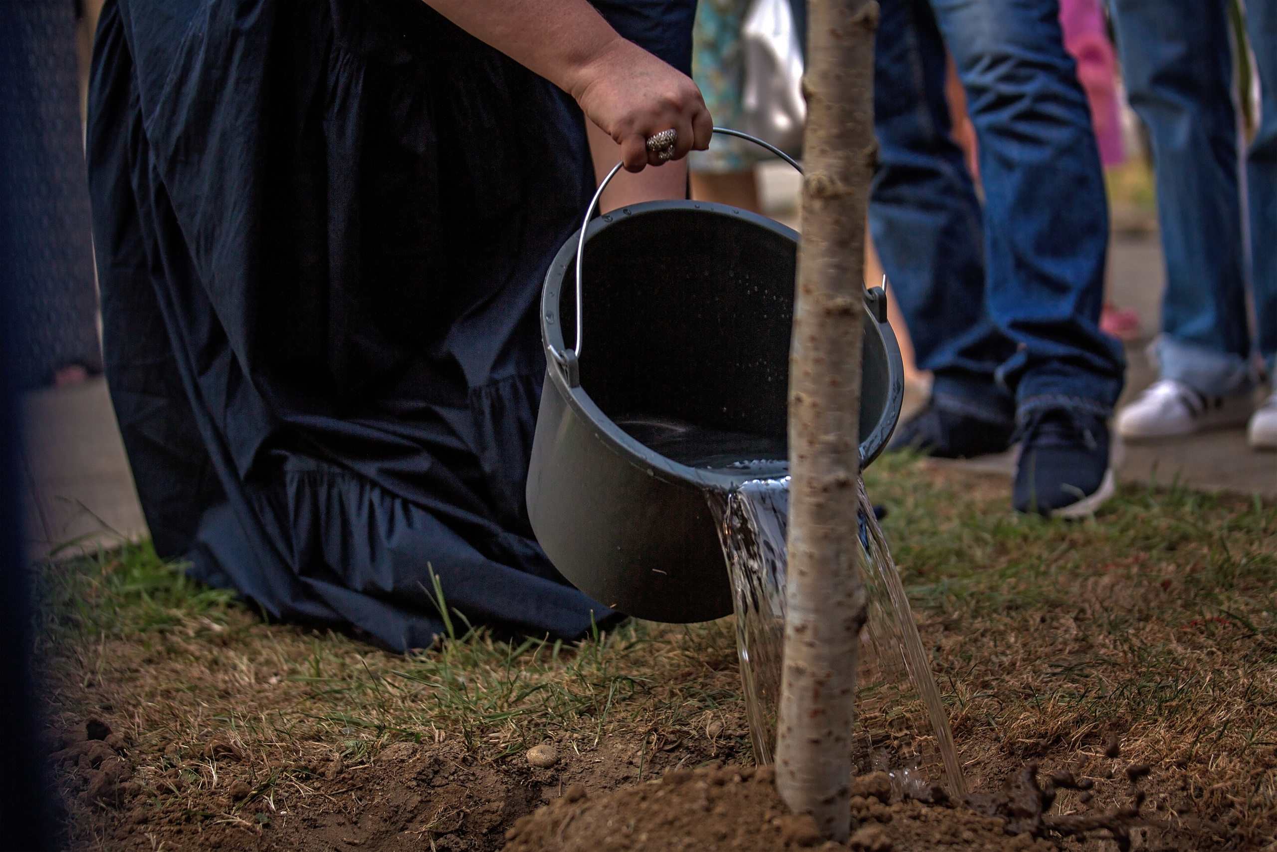 «Хибла Герзмава приглашает…». Свадебный и семейный фотограф в Абхазии Эля Цишба