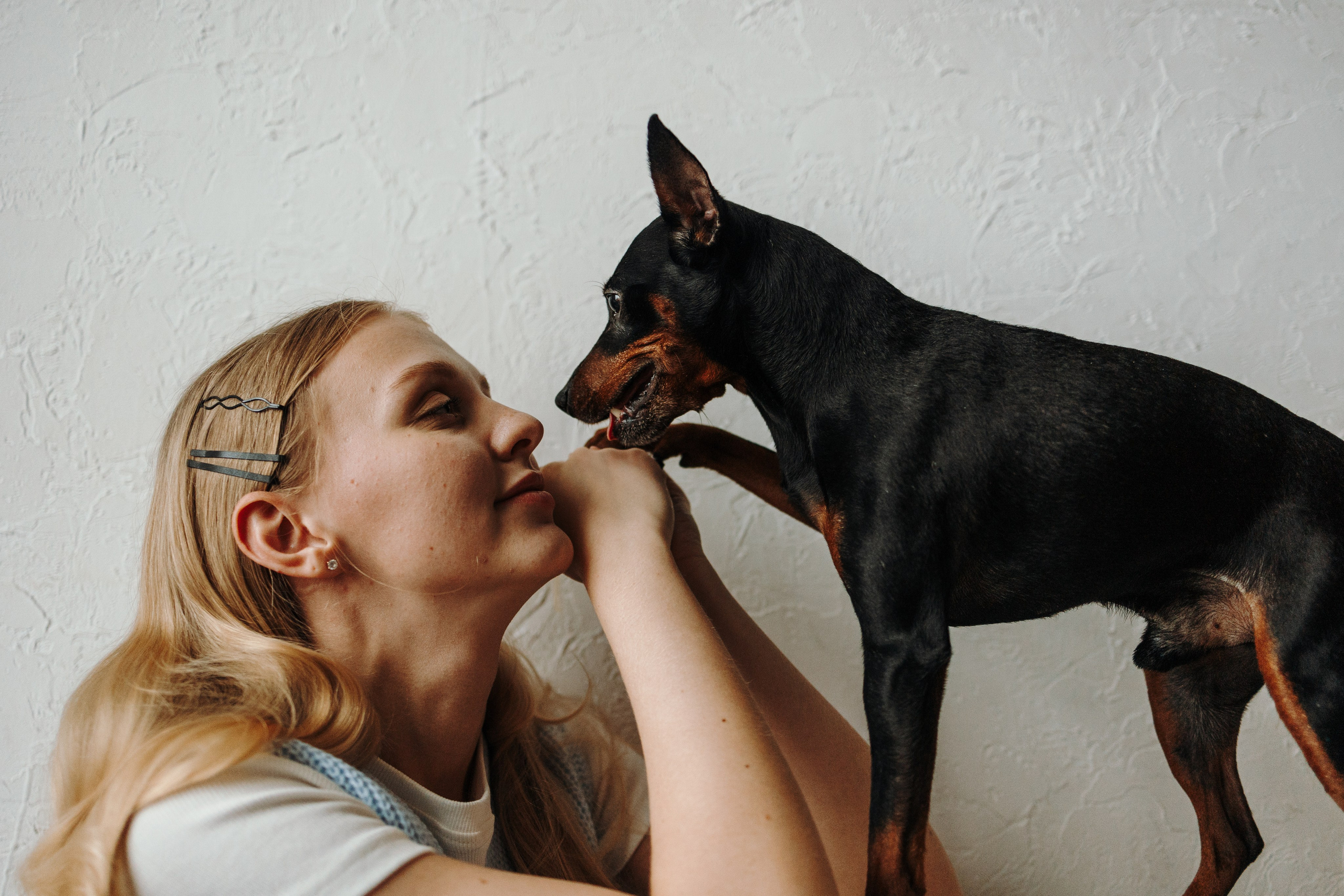 Катя и ее мальчики. Фотограф — Анималист | Санкт-Петербург