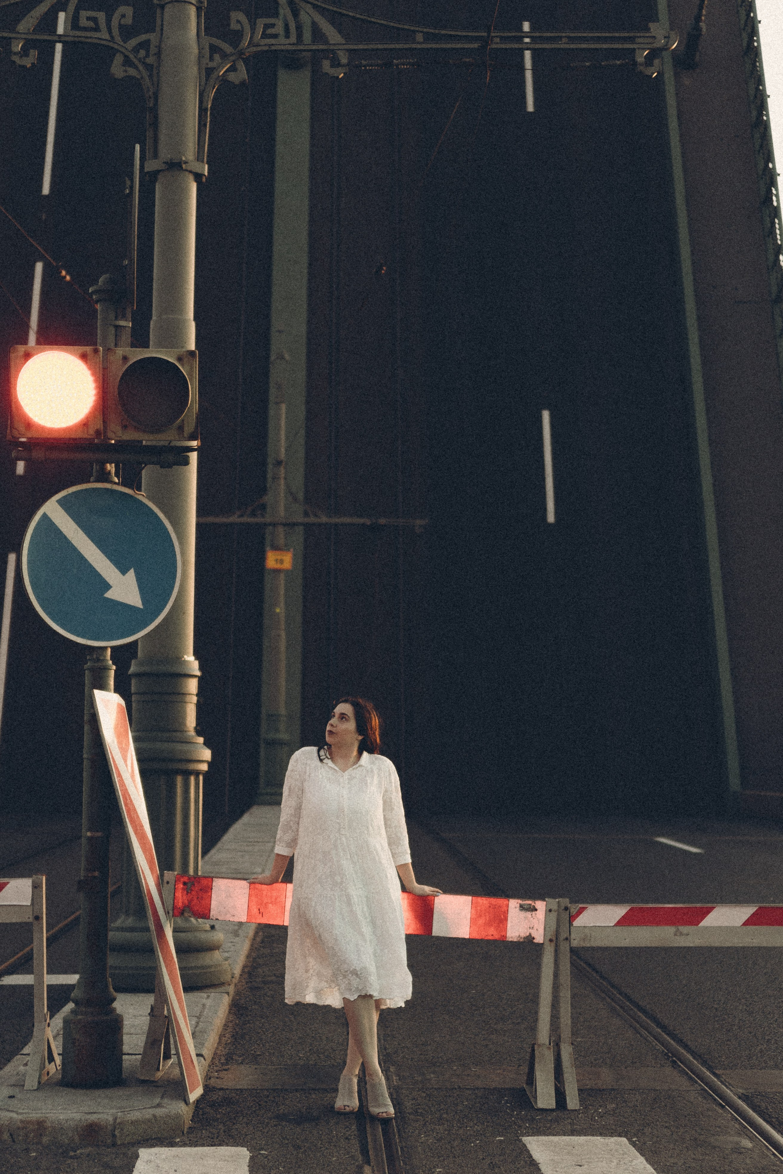 РАССВЕТ С РАЗВОДНЫМИ МОСТАМИ. Профессиональный фотограф, Санкт-Петербург — Виктория Богомолова