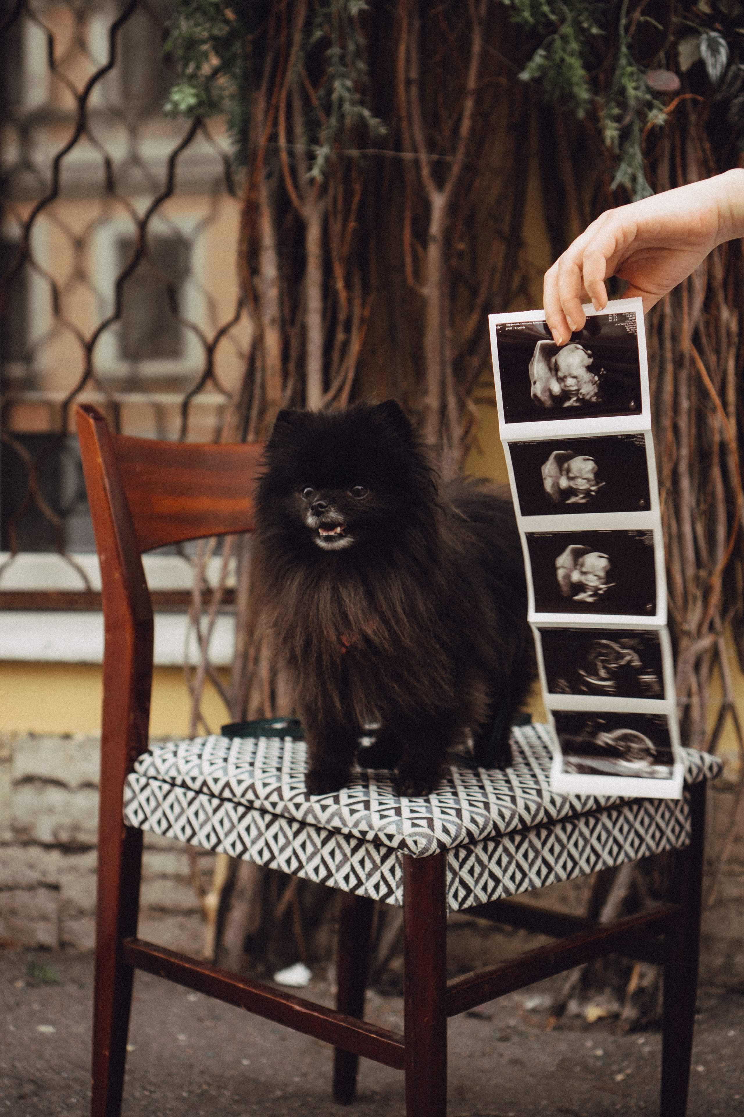 Беременность (только часть фото по желанию клиентов могу показать)). Профессиональный фотограф, Санкт-Петербург — Виктория Богомолова
