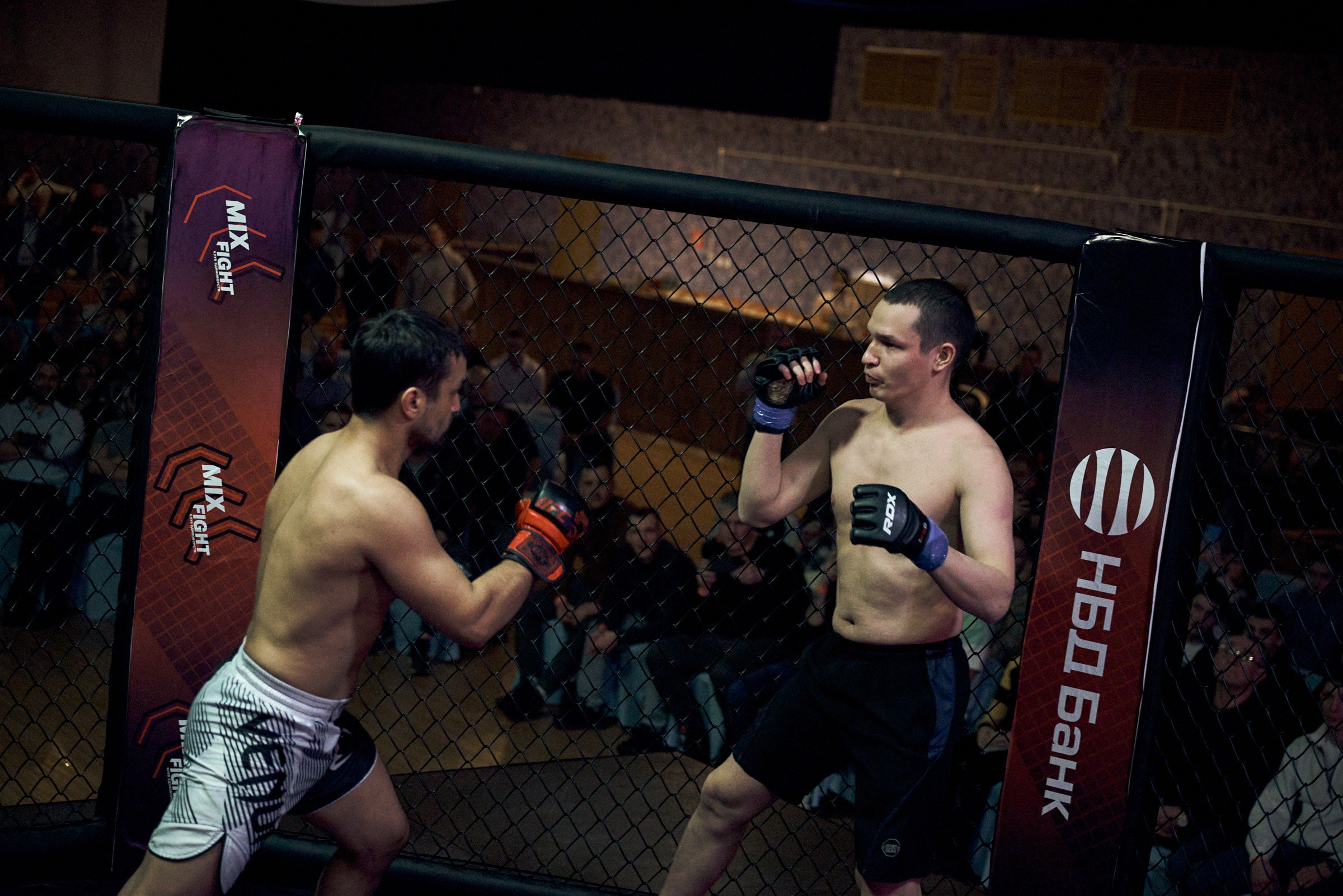 Бои. Маляревич Дмитрий свадебный фотограф