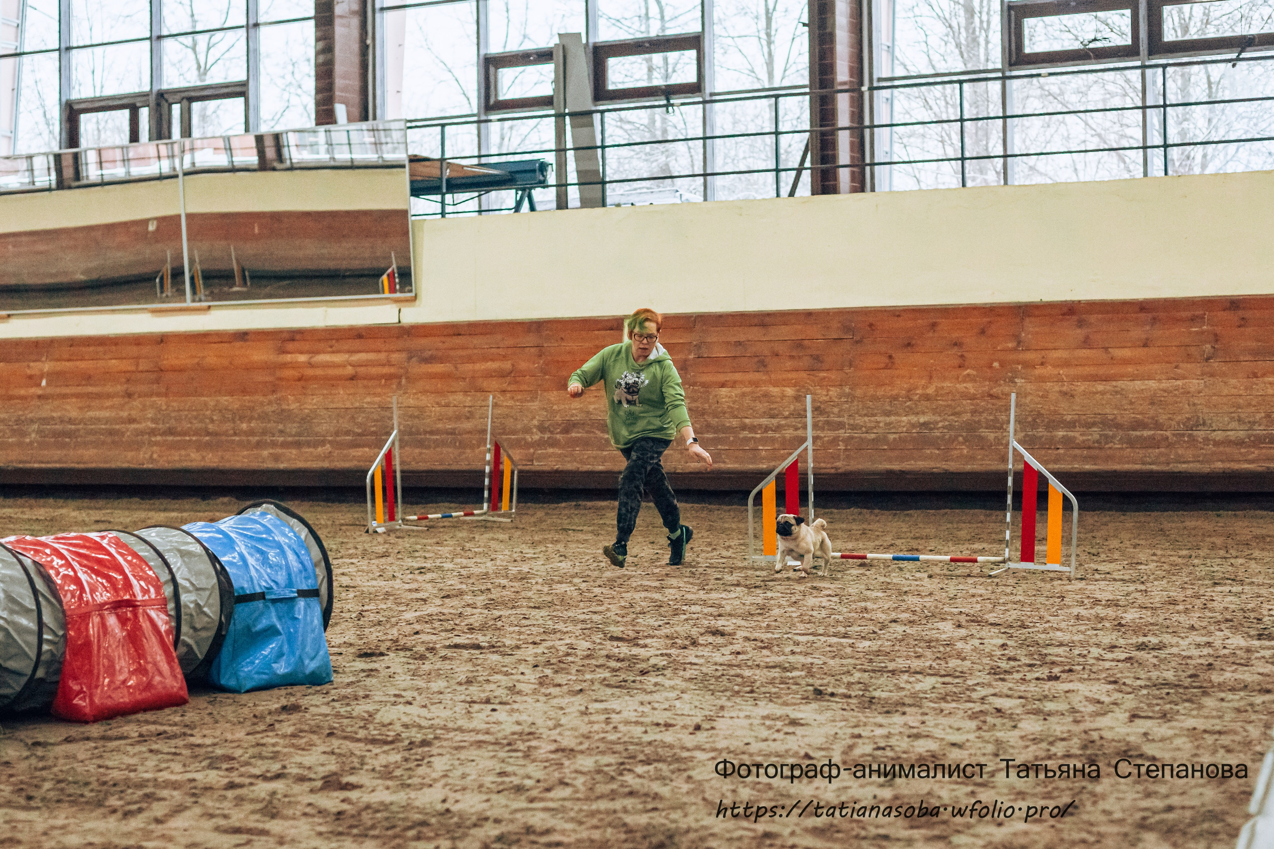 Соревнования по Аджилити 25.02.2024. Фотограф-анималист Татьяна Степанова