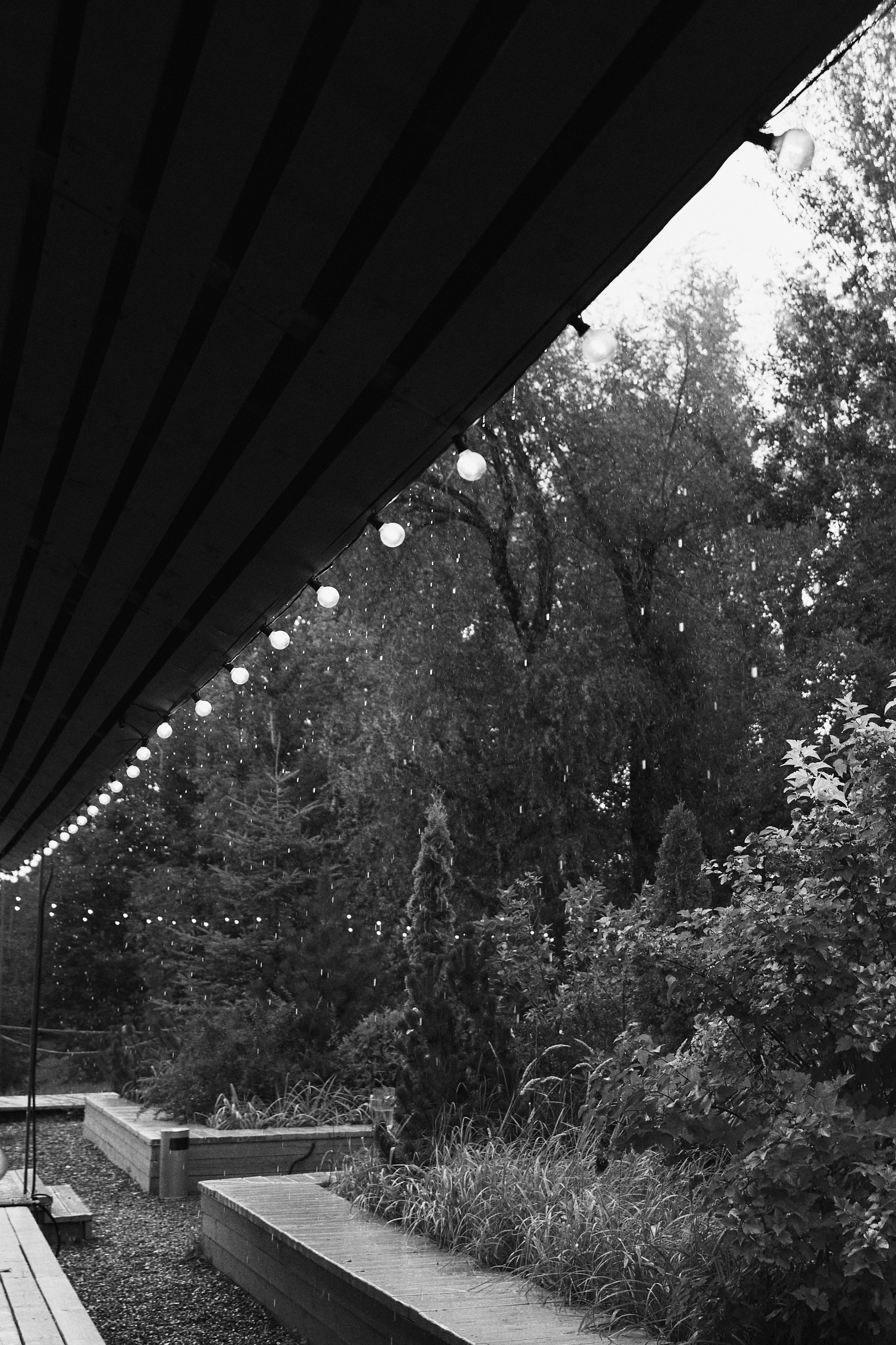 Данил и Анастасия. Фотограф Диана Хасанова, г. Казань