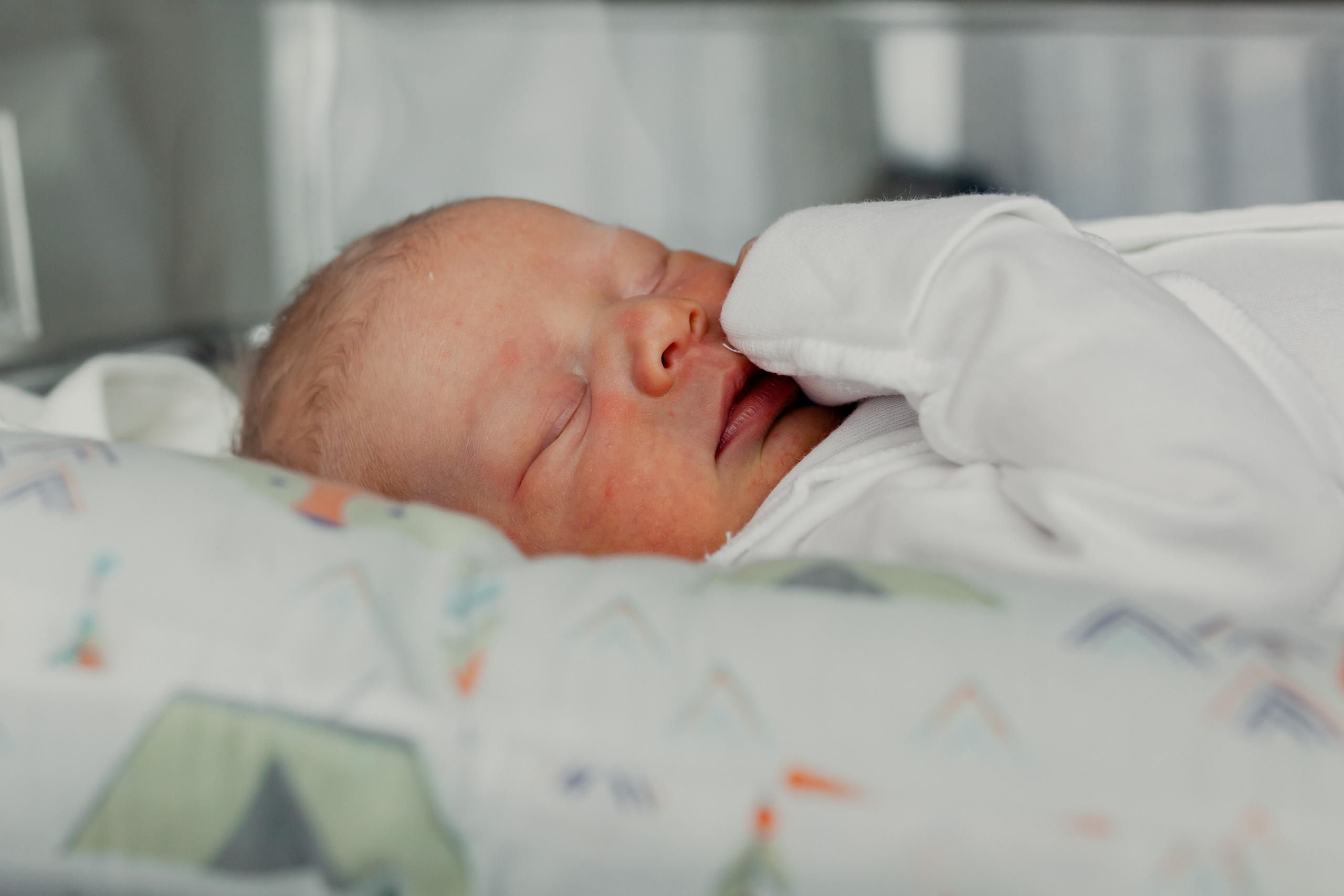 Выписка Веры. Фотограф в Петербурге