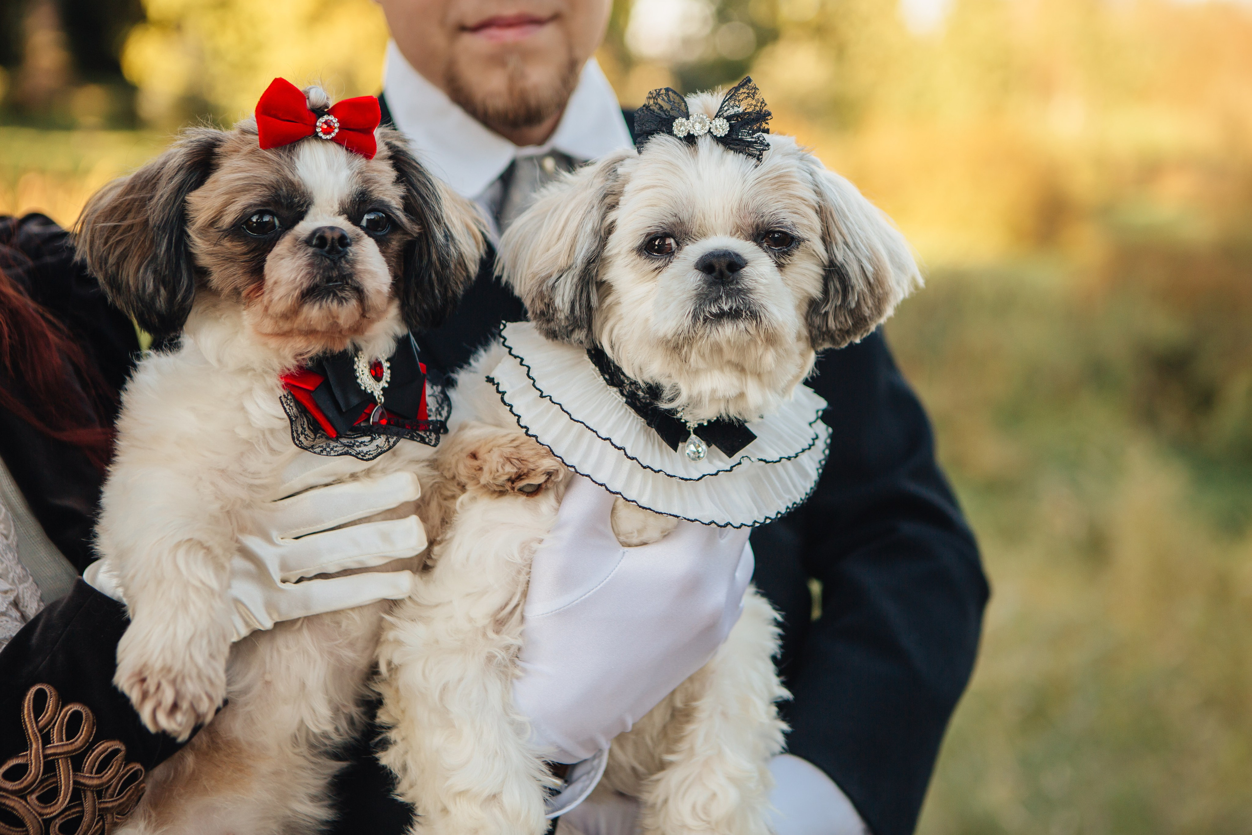 Помолвка Женя Люба. Свадебный фотограф в Санкт-Петербурге