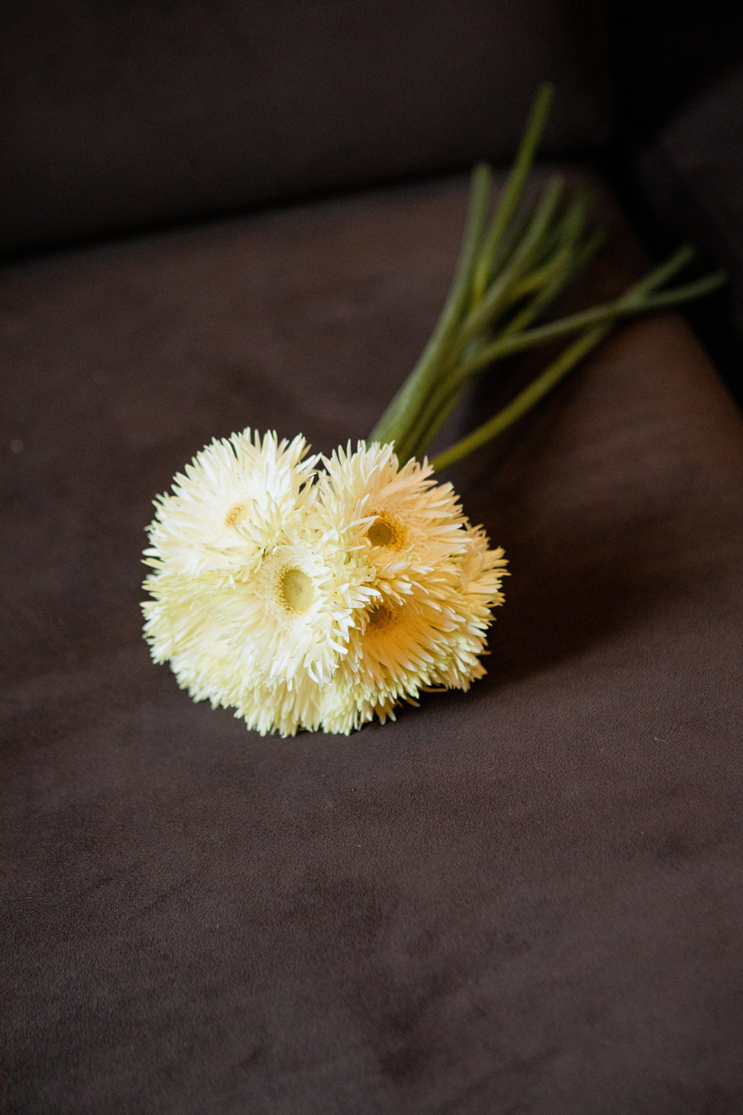 Игорь и Таня. Свадебный фотограф Витебск Минск